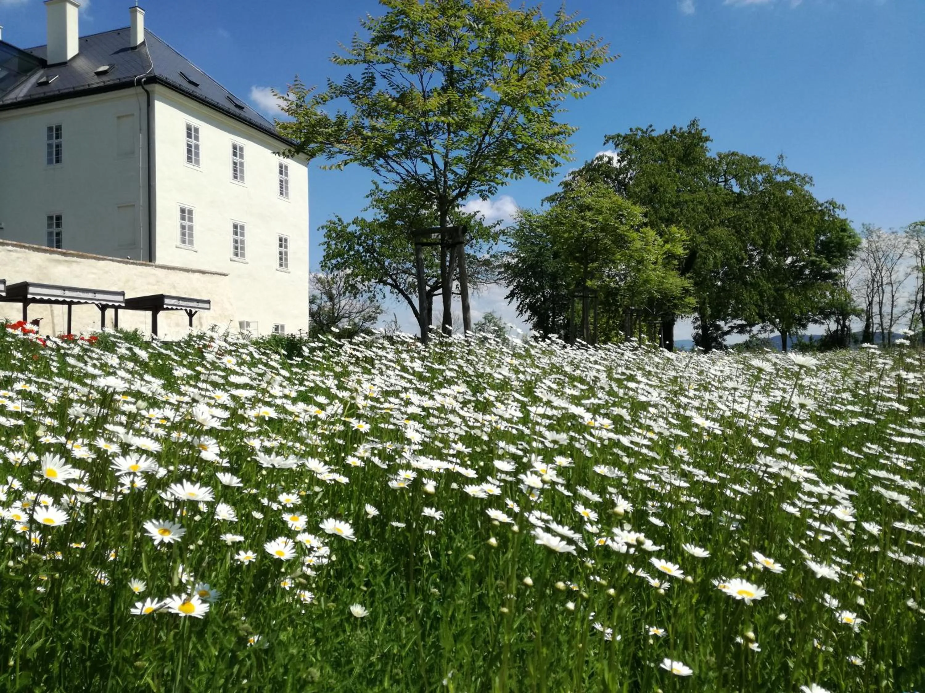 Garden in Hotel Zámek Svijany