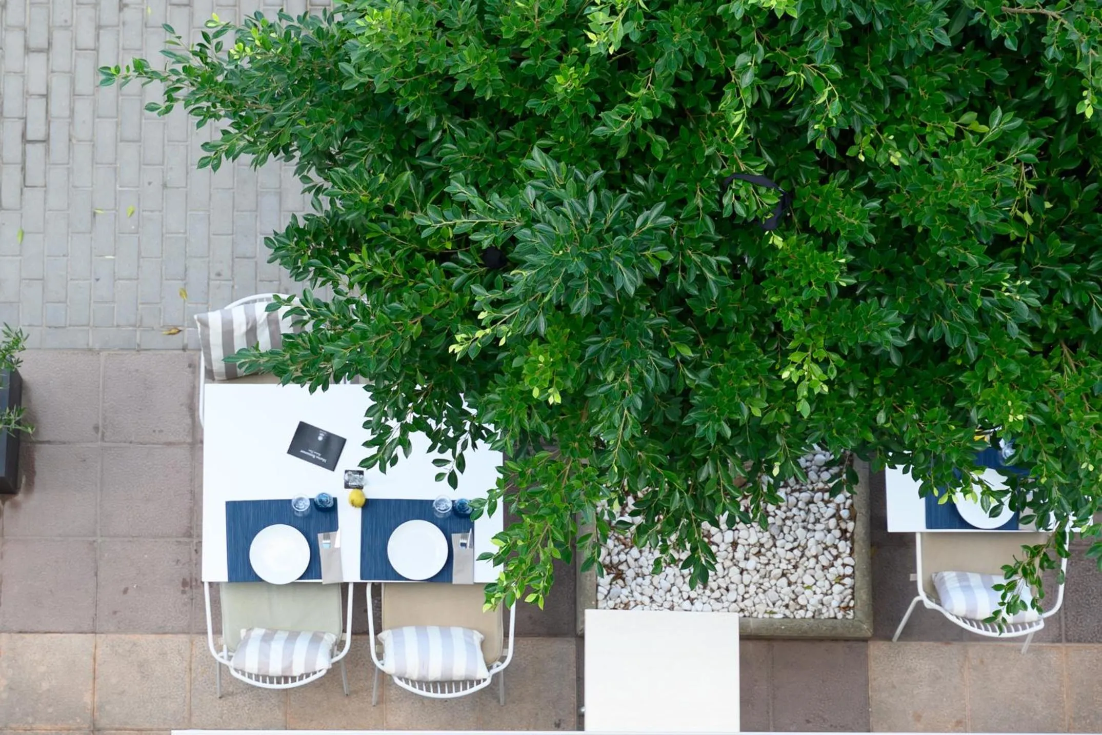 Restaurant/places to eat in Hotel Marina