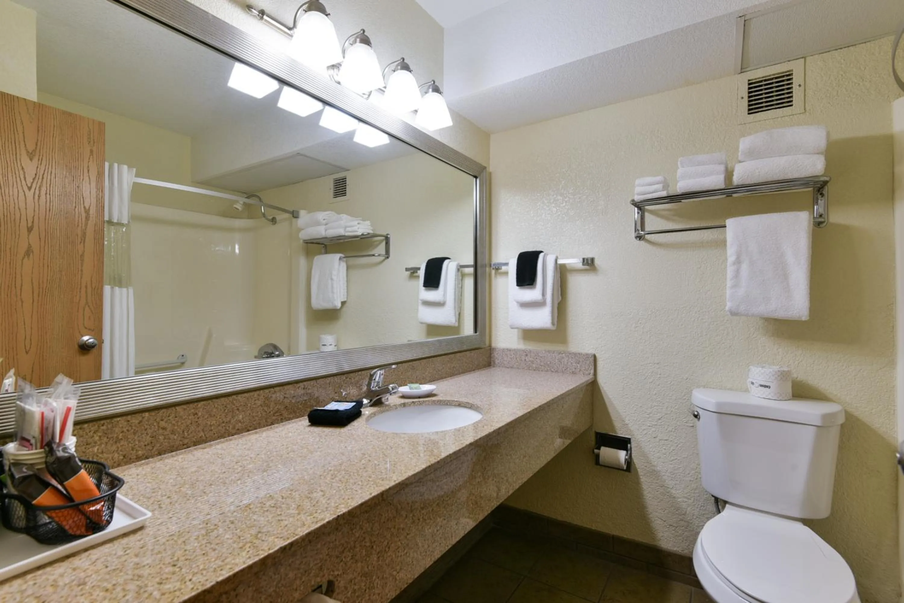Bathroom in Best Western Branson Inn and Conference Center
