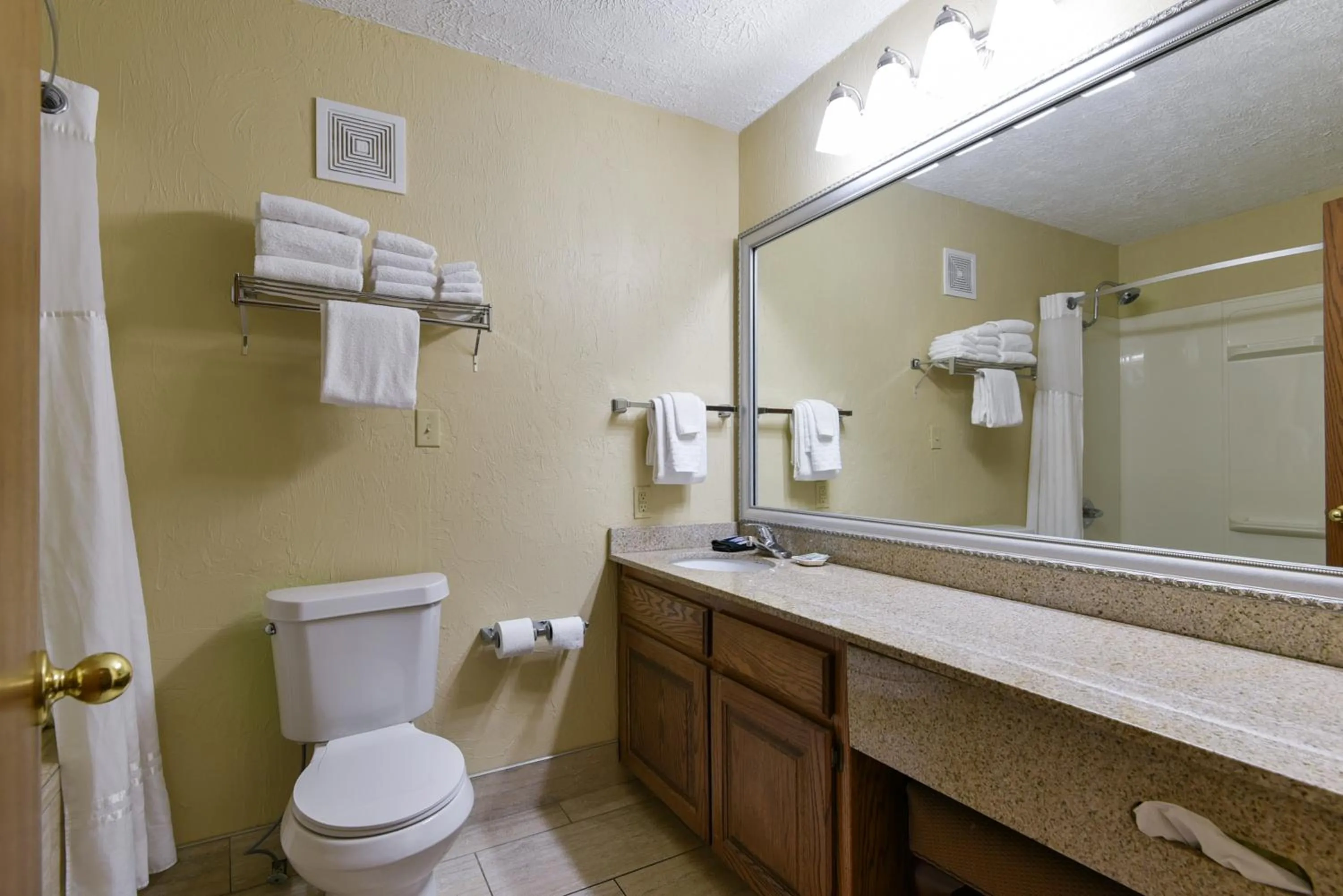 Bathroom in Best Western Branson Inn and Conference Center