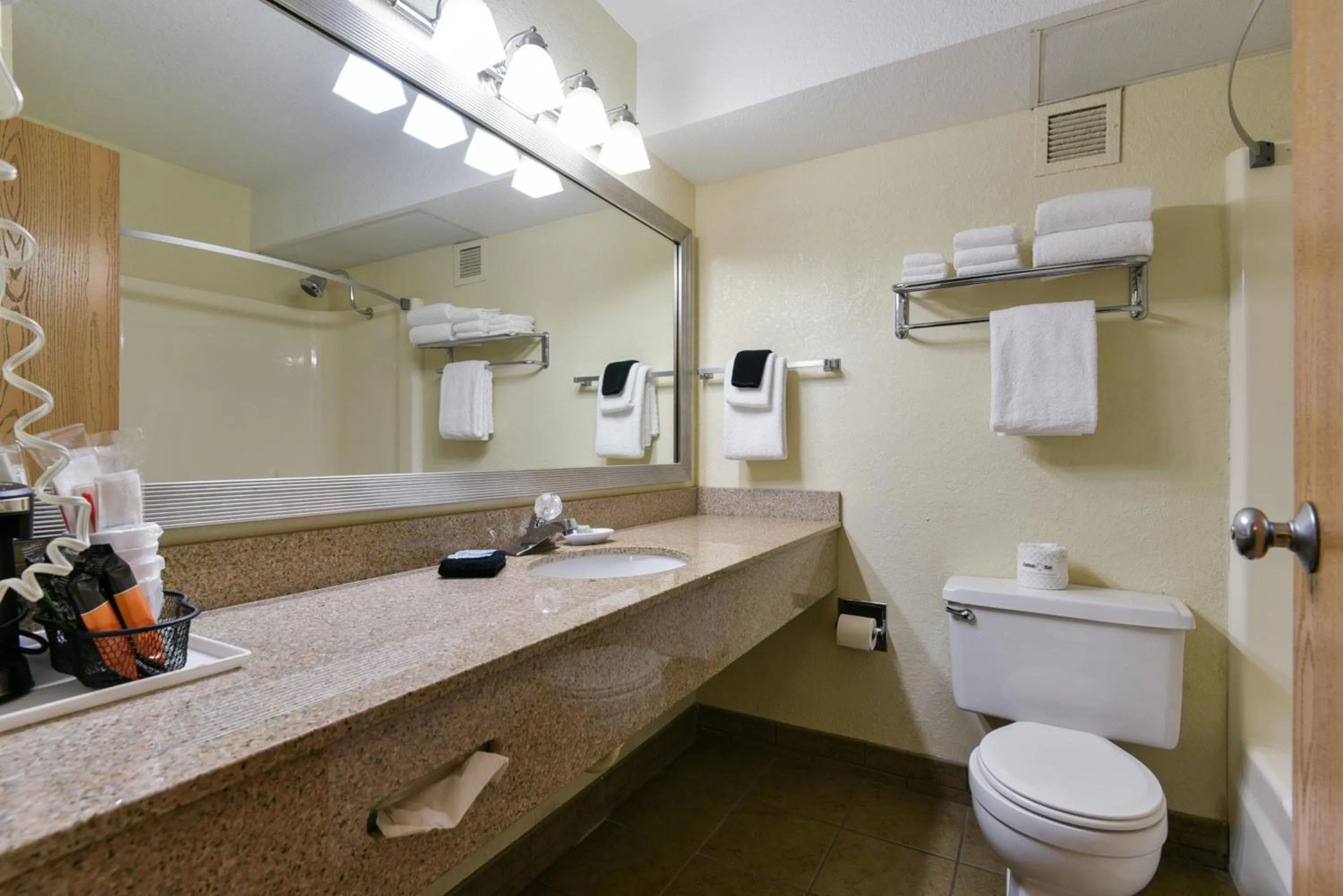 Bathroom in Best Western Branson Inn and Conference Center