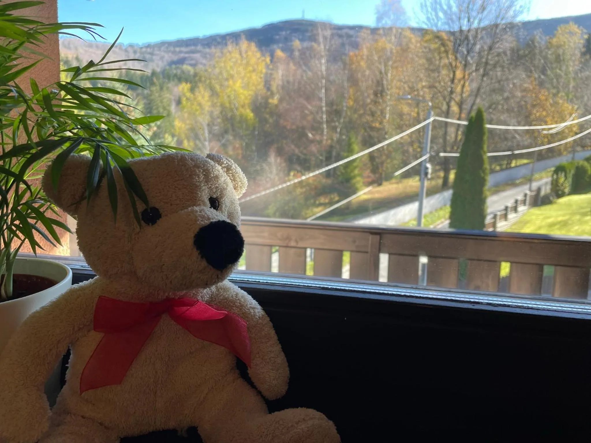 Day in Sasanka przy Gondoli