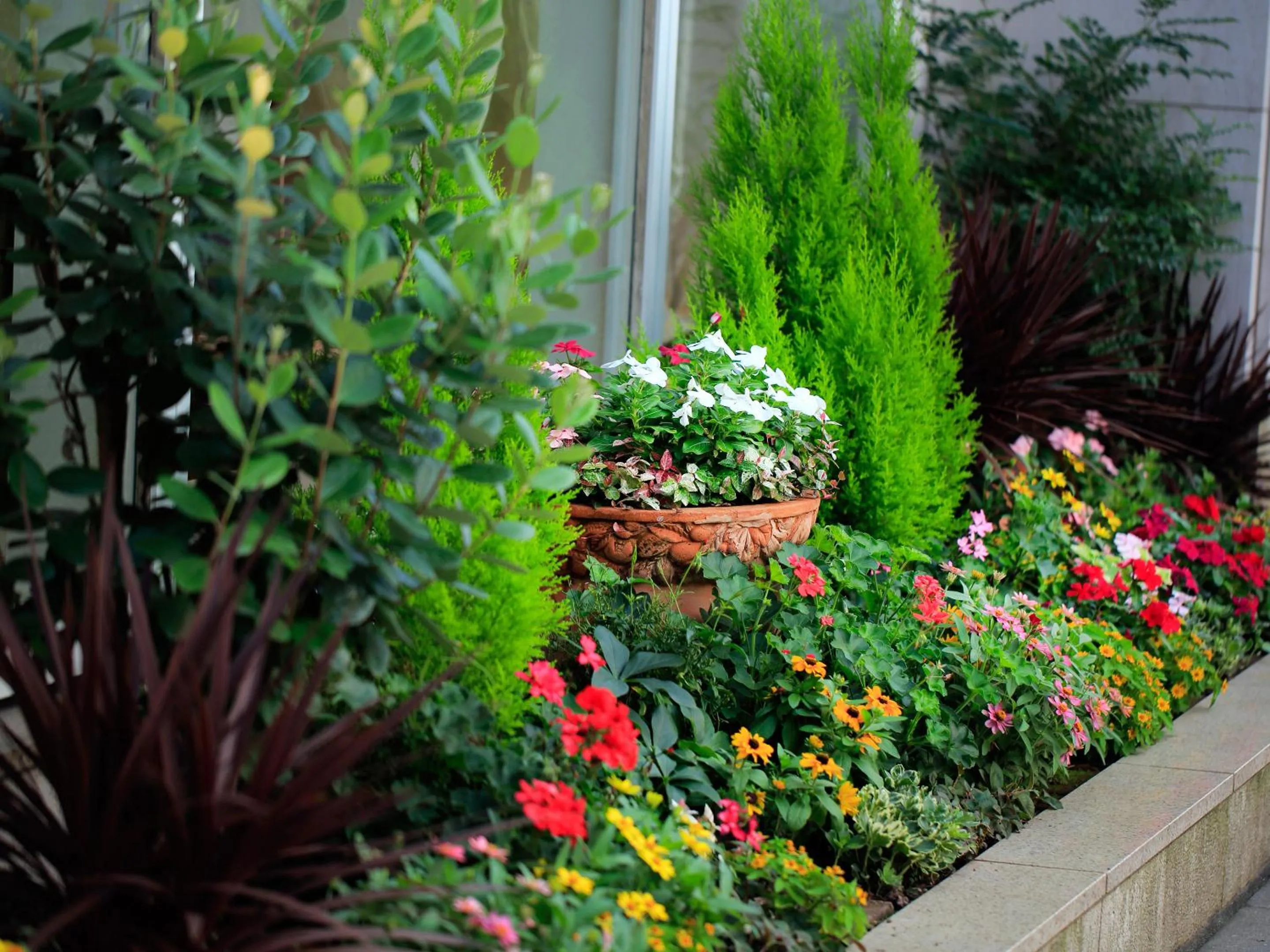 Other in Hotel Monterey Akasaka