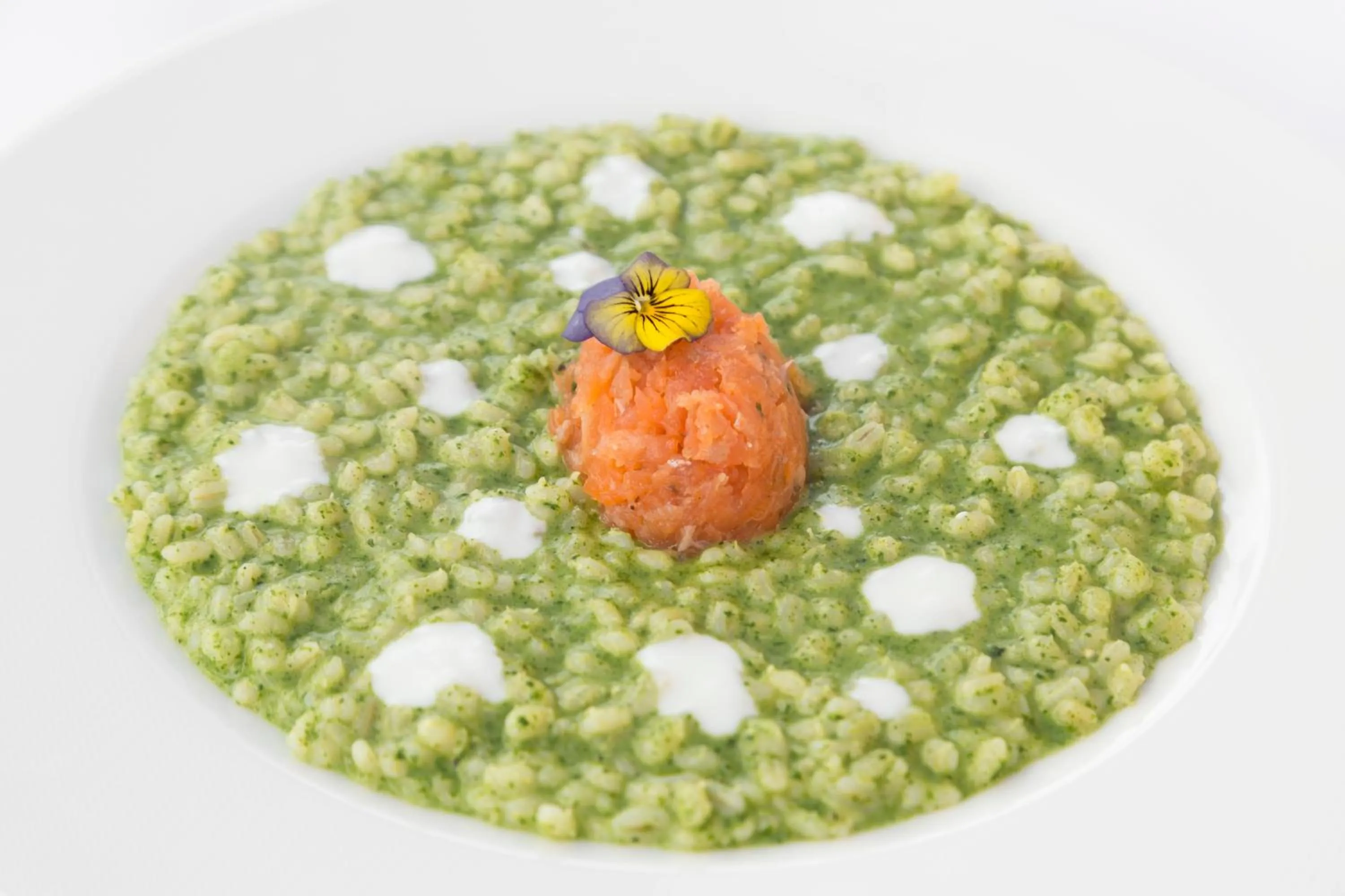 Historic Hotel Ristorante La Stua