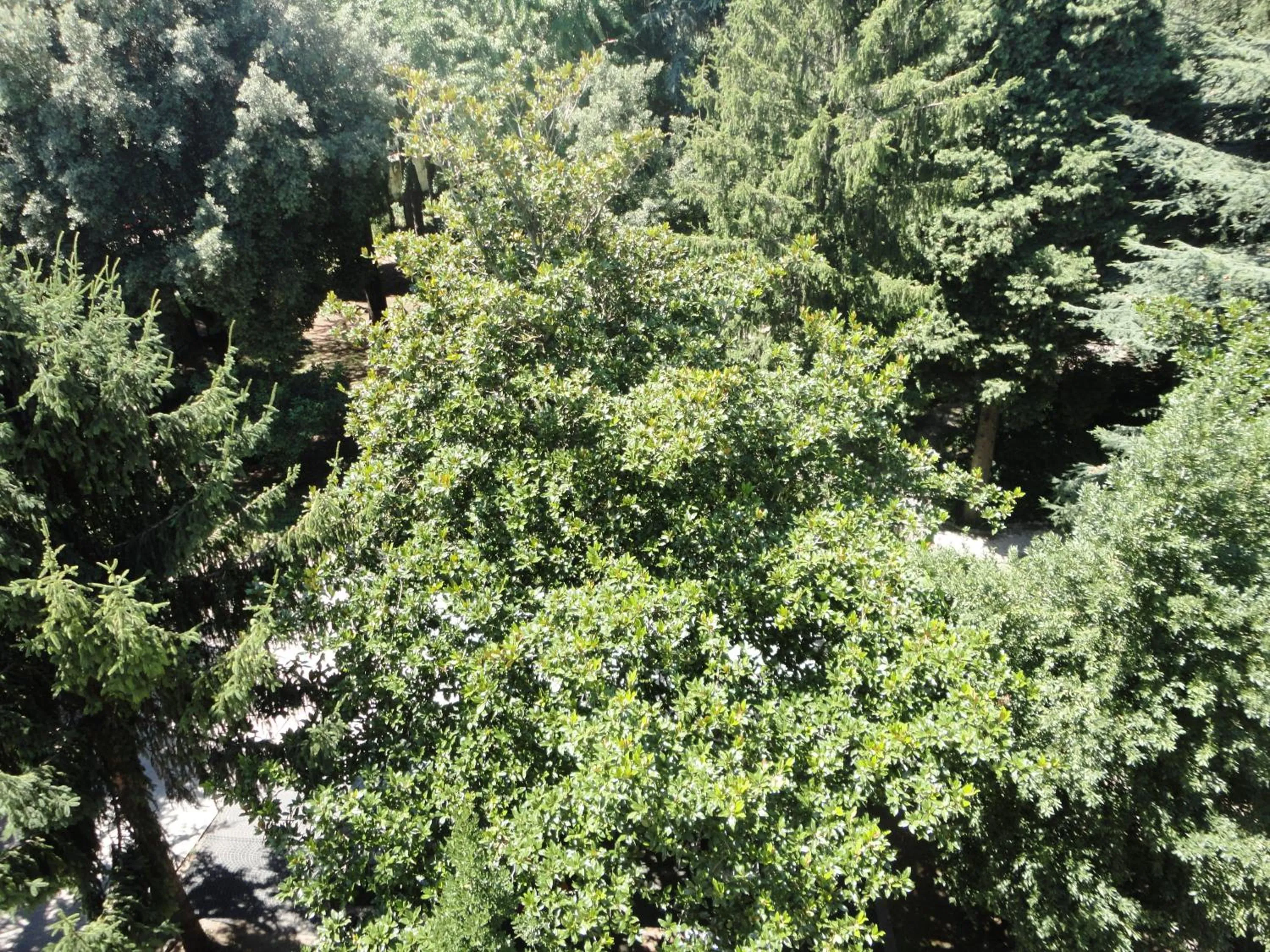 Facade/entrance in Villa Altieri