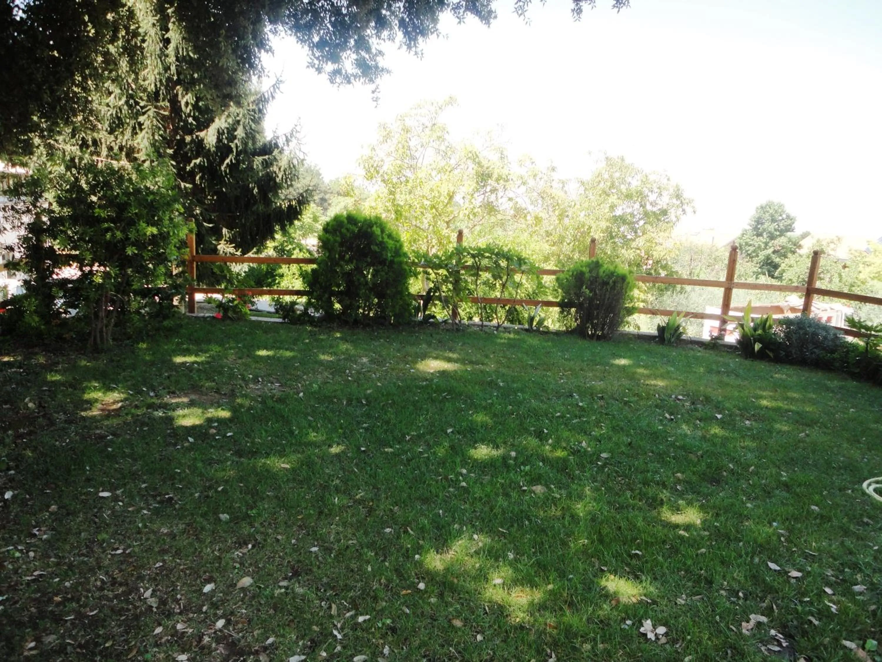 Garden in Villa Altieri