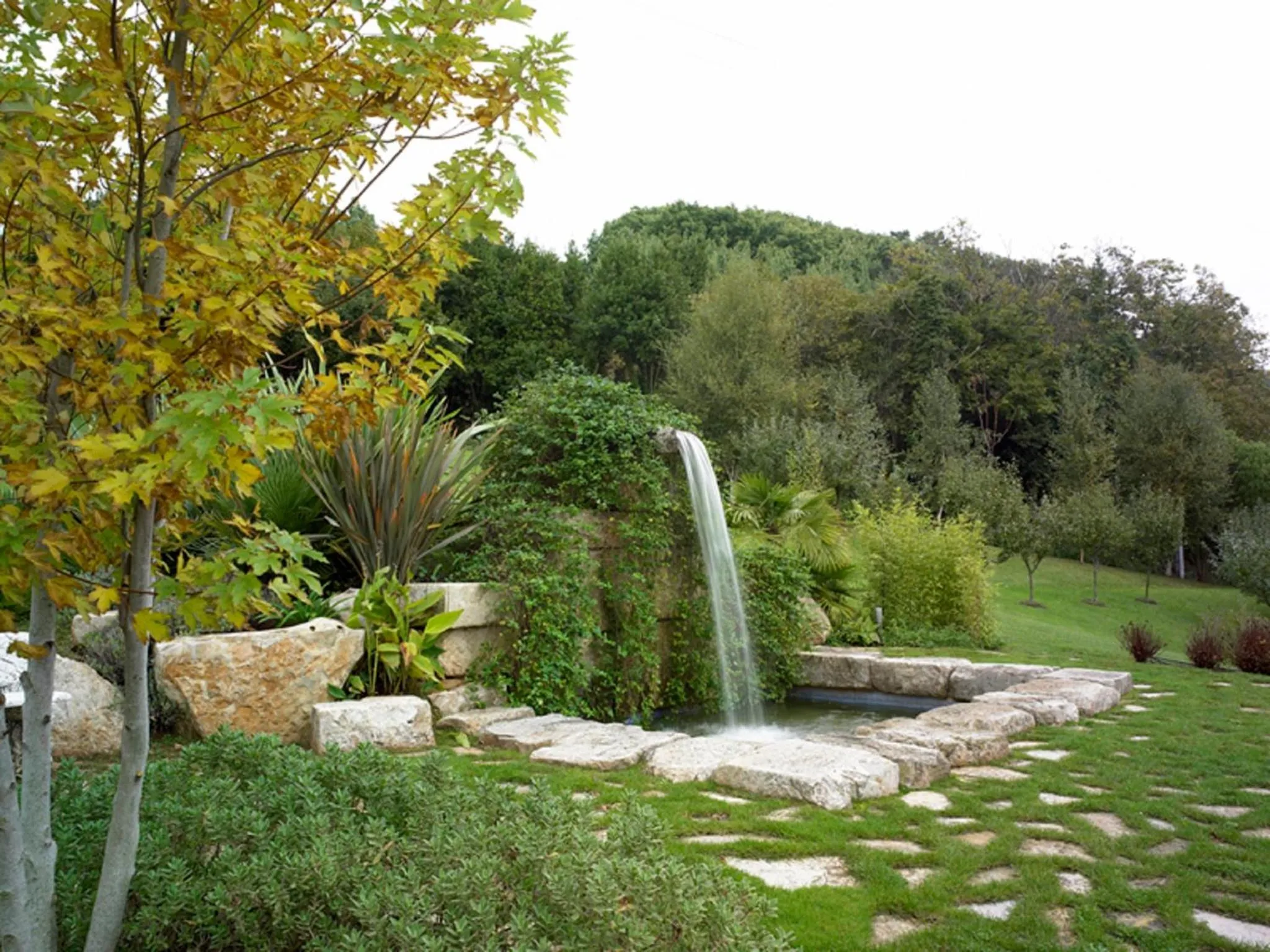 Garden in Hotel y Casona El Carmen