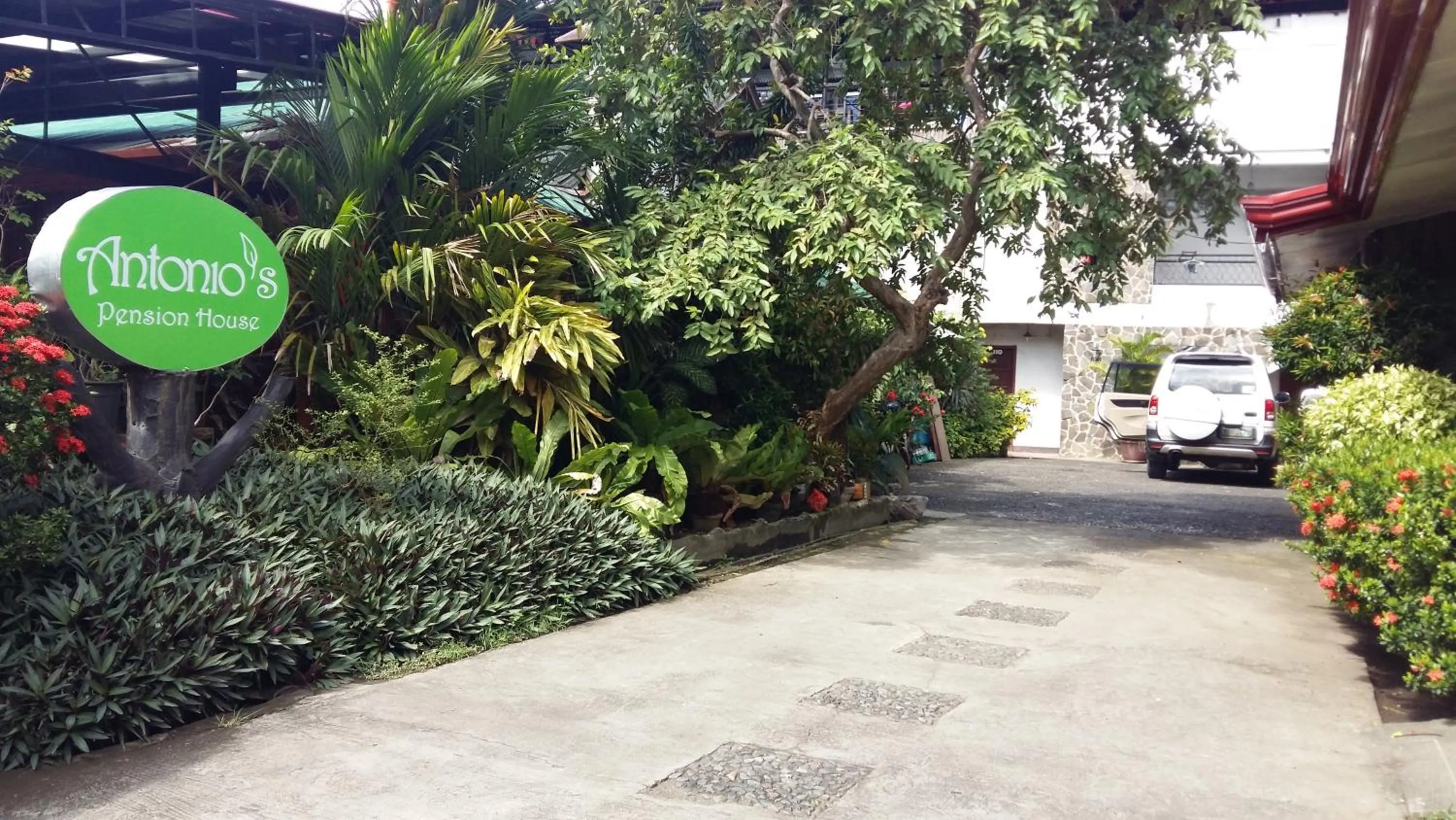 Garden in Antonio's Pension House