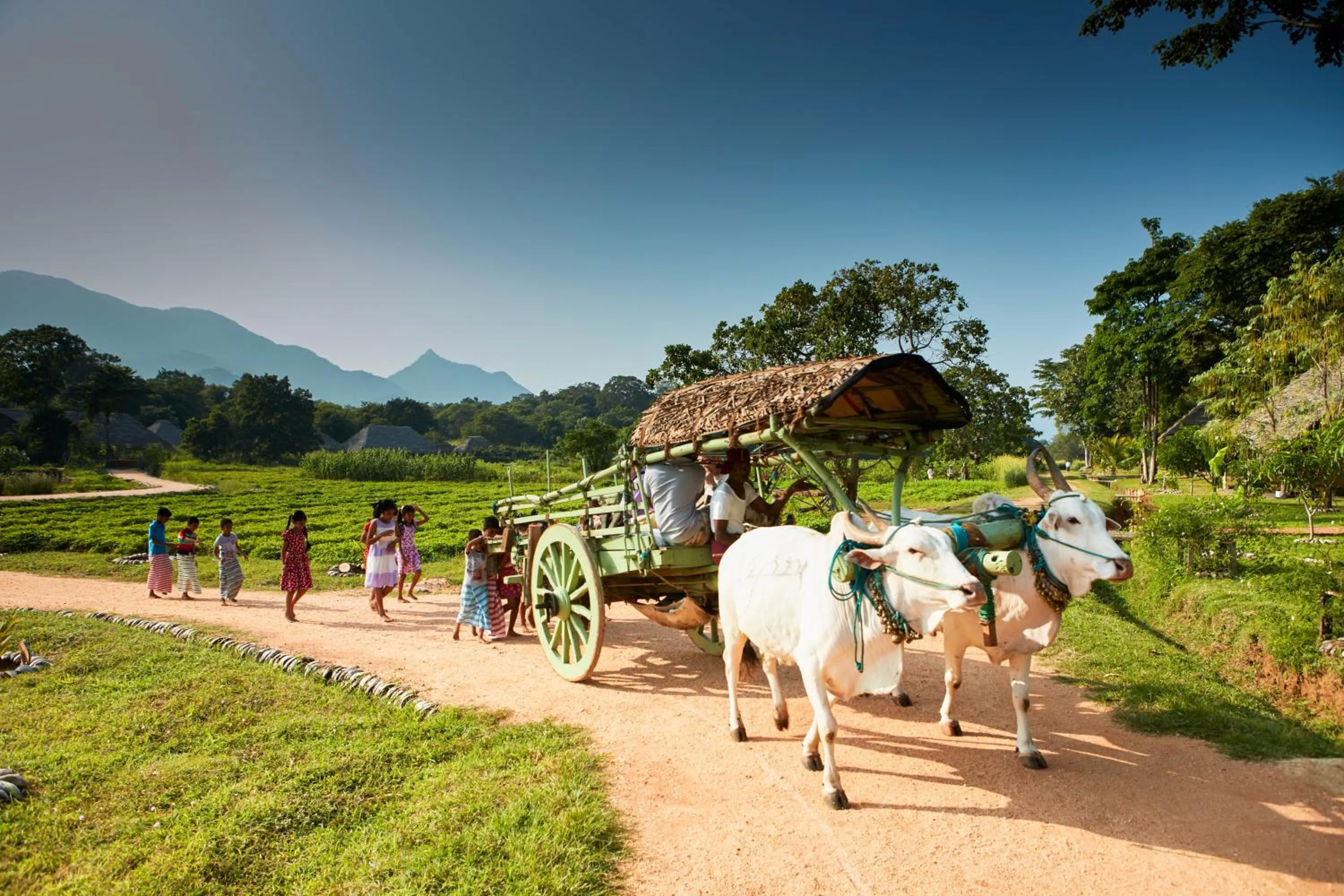 People in Amuna Ayurveda and Wellness Retreat