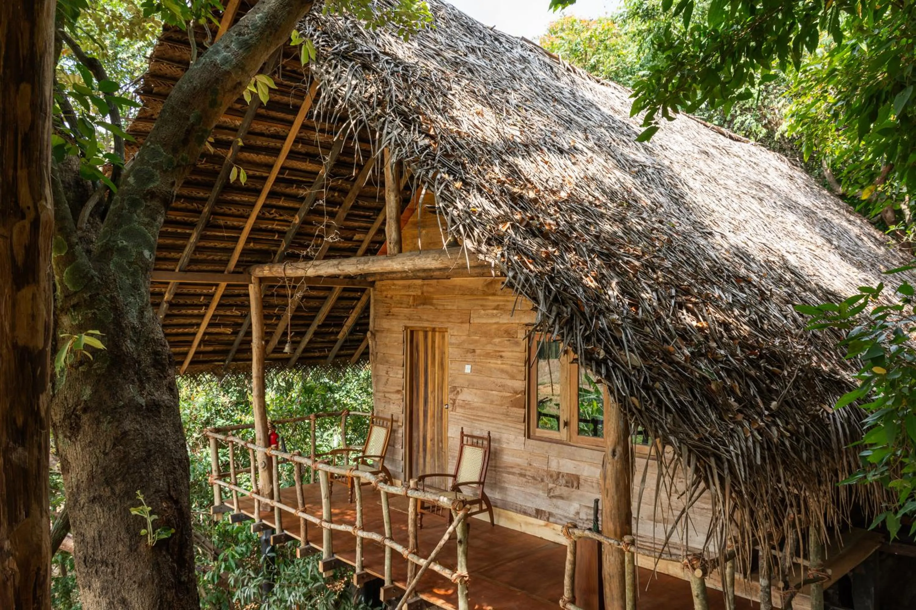 Property building in Amuna Ayurveda and Wellness Retreat