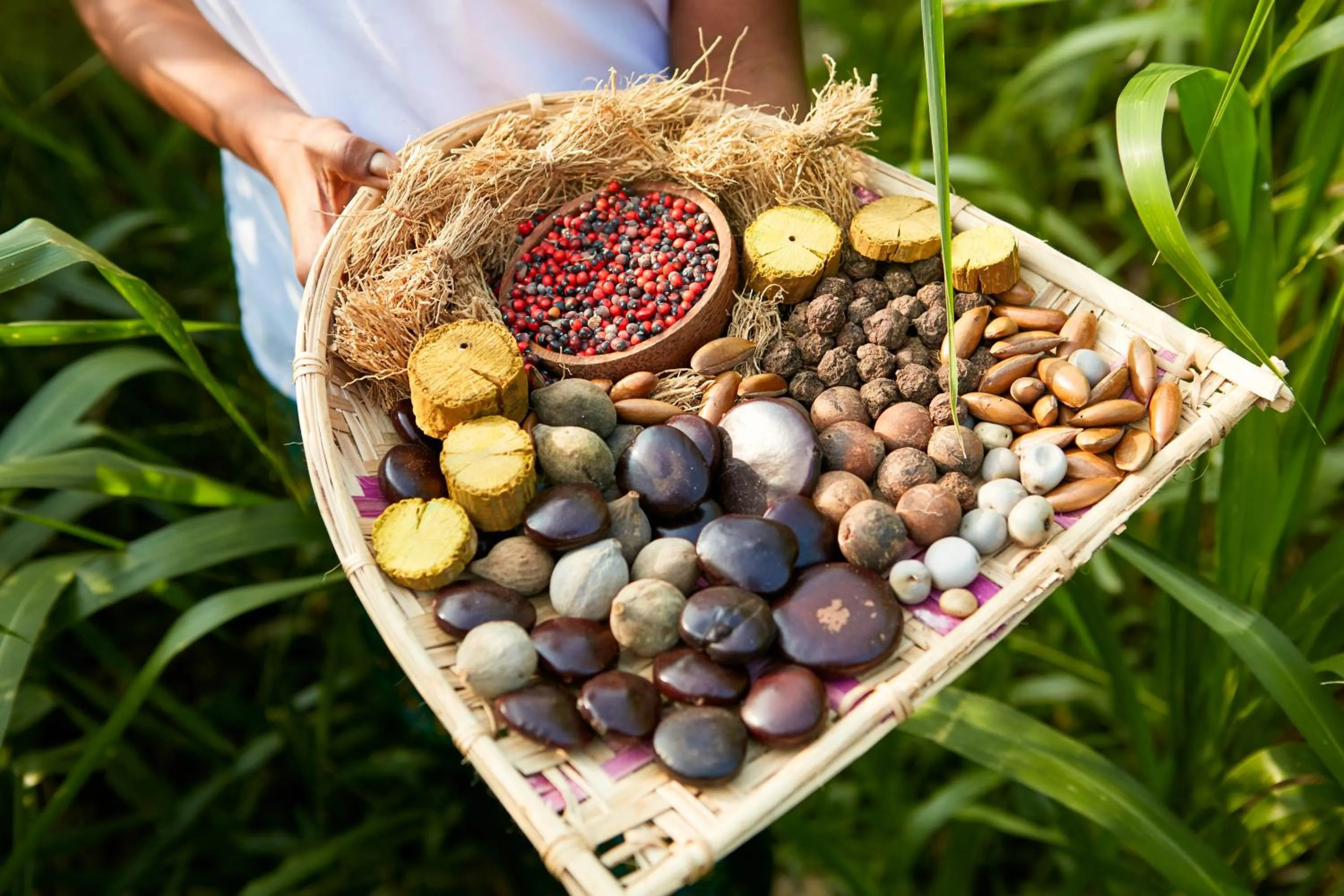 Food in Amuna Ayurveda and Wellness Retreat