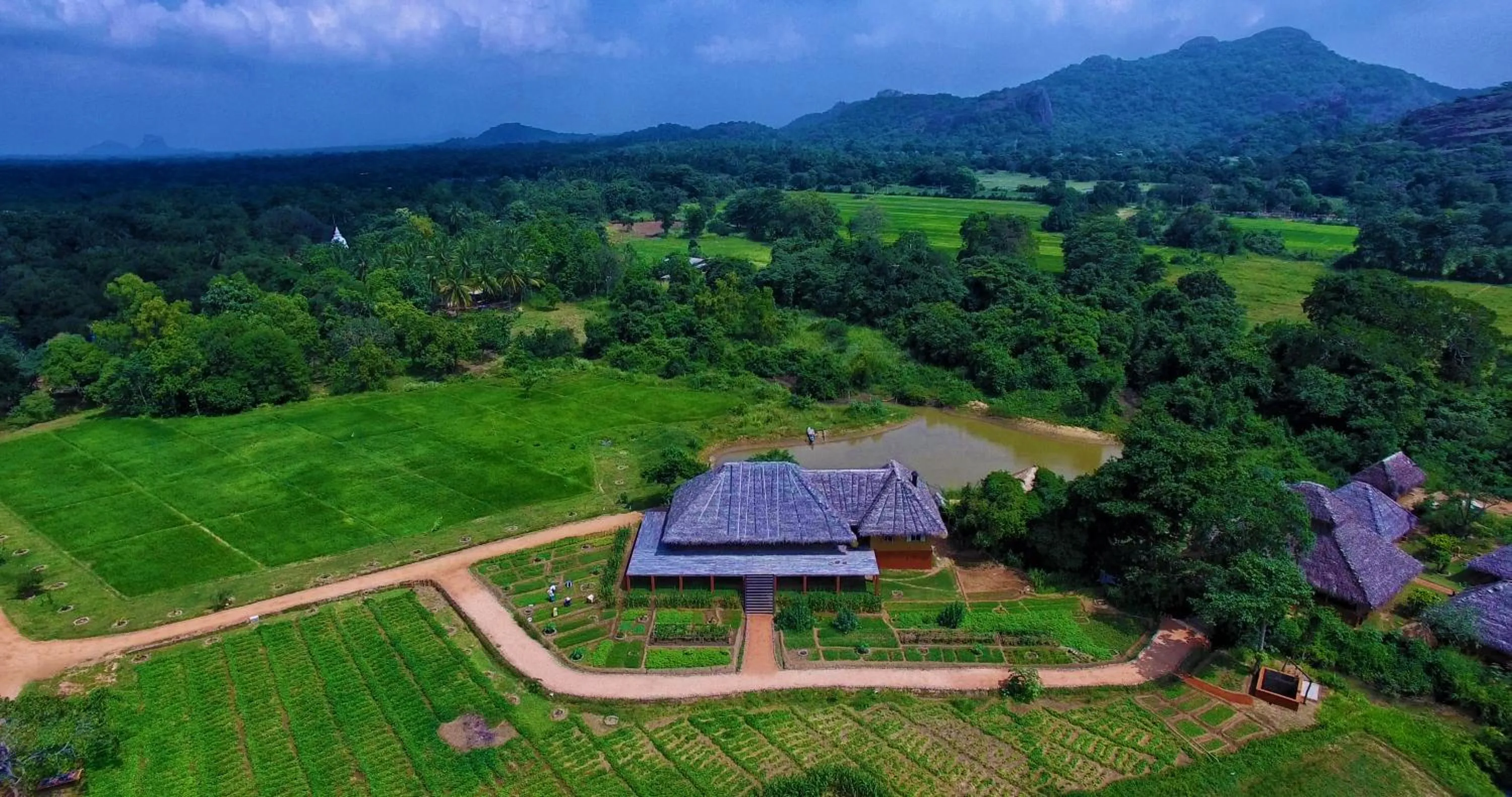 View (from property/room) in Amuna Ayurveda and Wellness Retreat