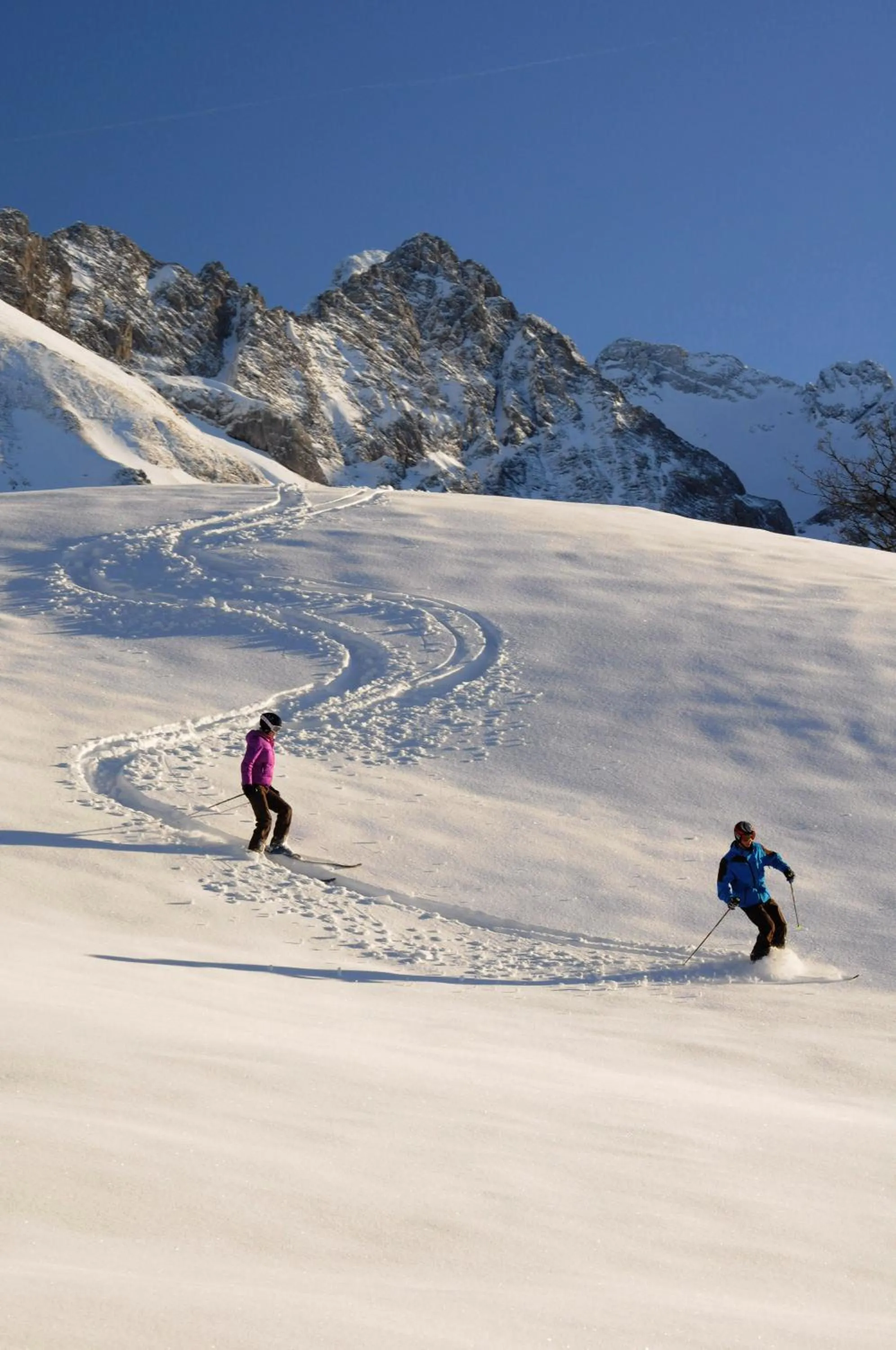 Skiing in FEWO Schwandenhof