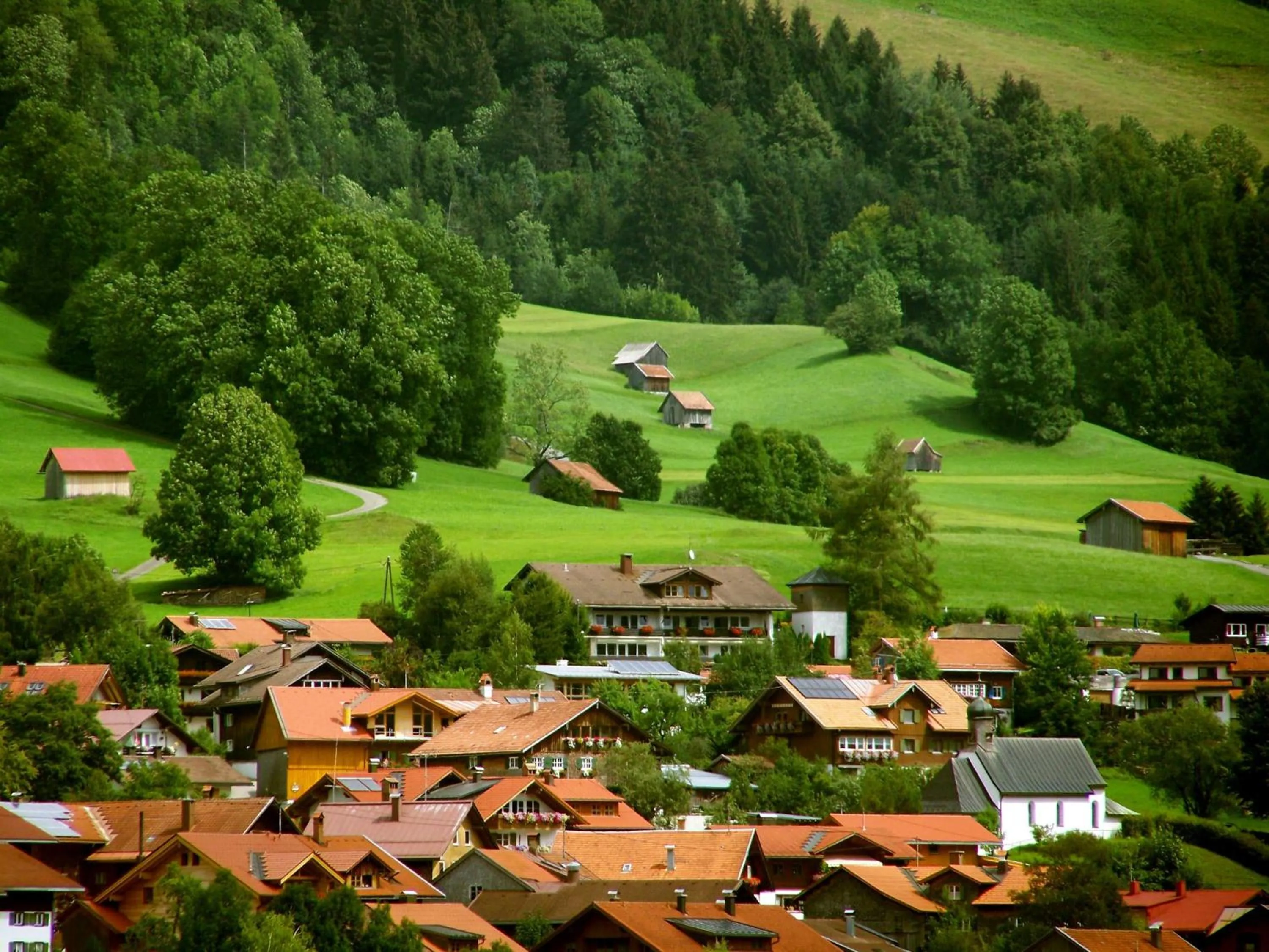 Bird's eye view in FEWO Schwandenhof