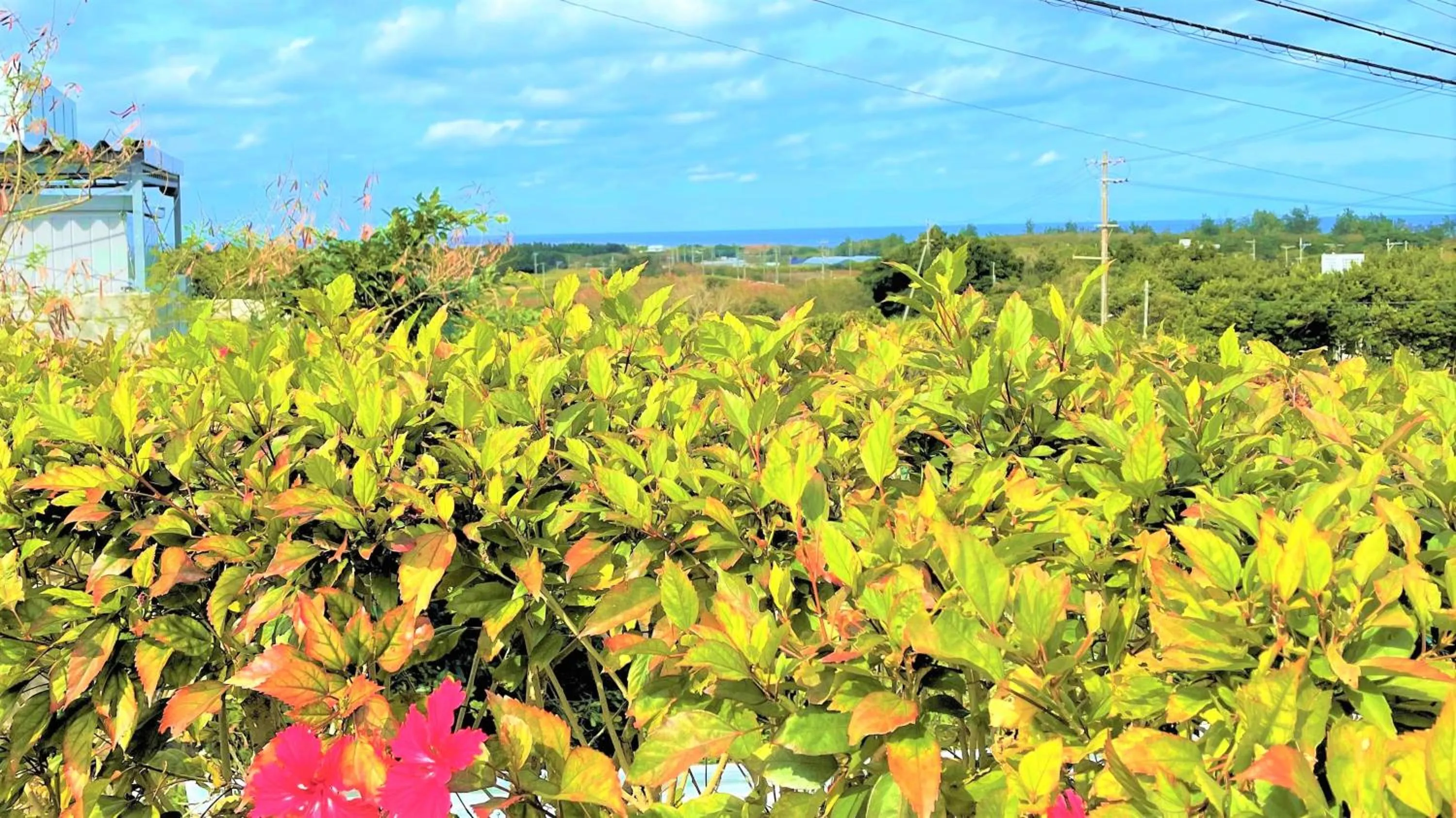 Natural landscape in Rose Terrace Bise