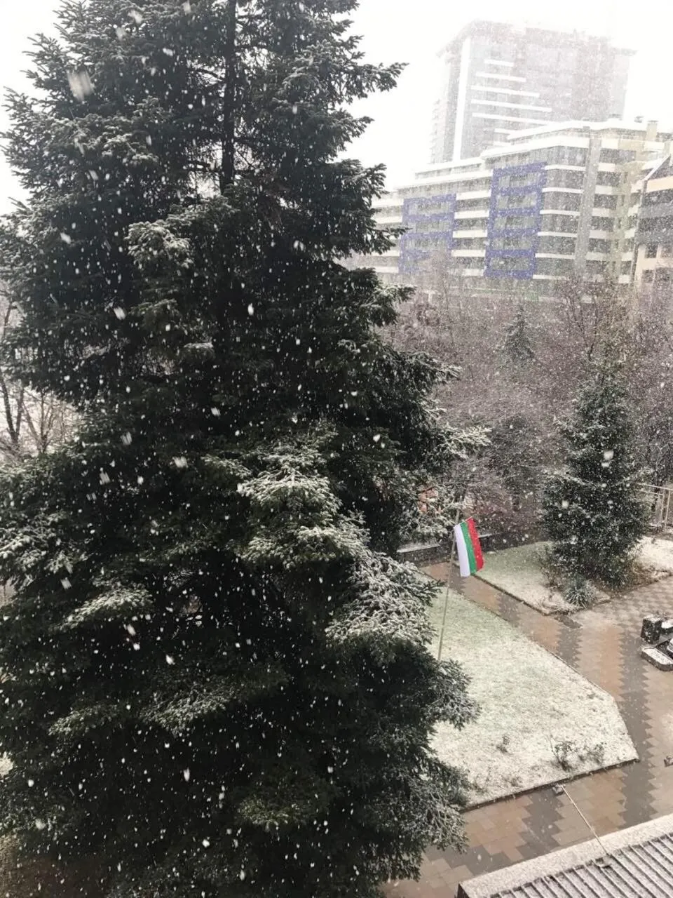 Street view in Diana 3 Hotel