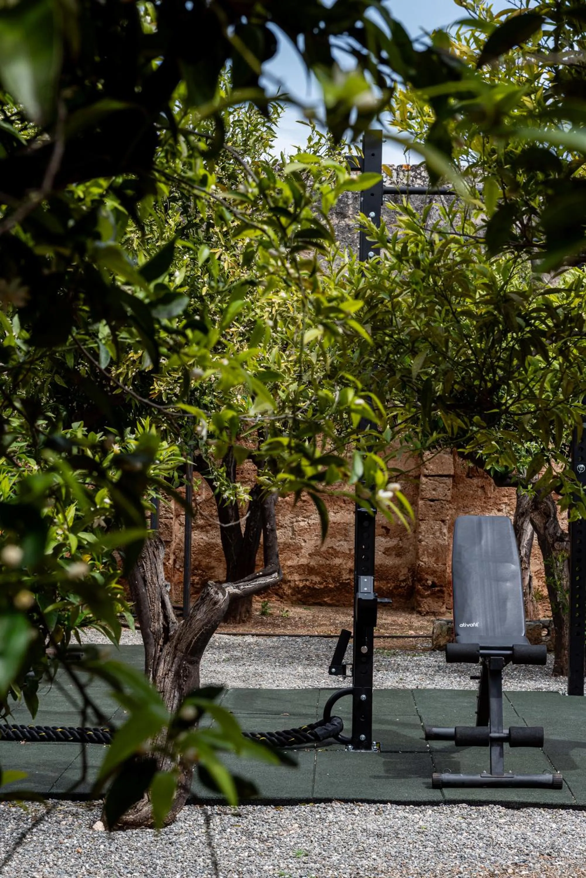 Fitness centre/facilities in Masseria Borgo San Marco