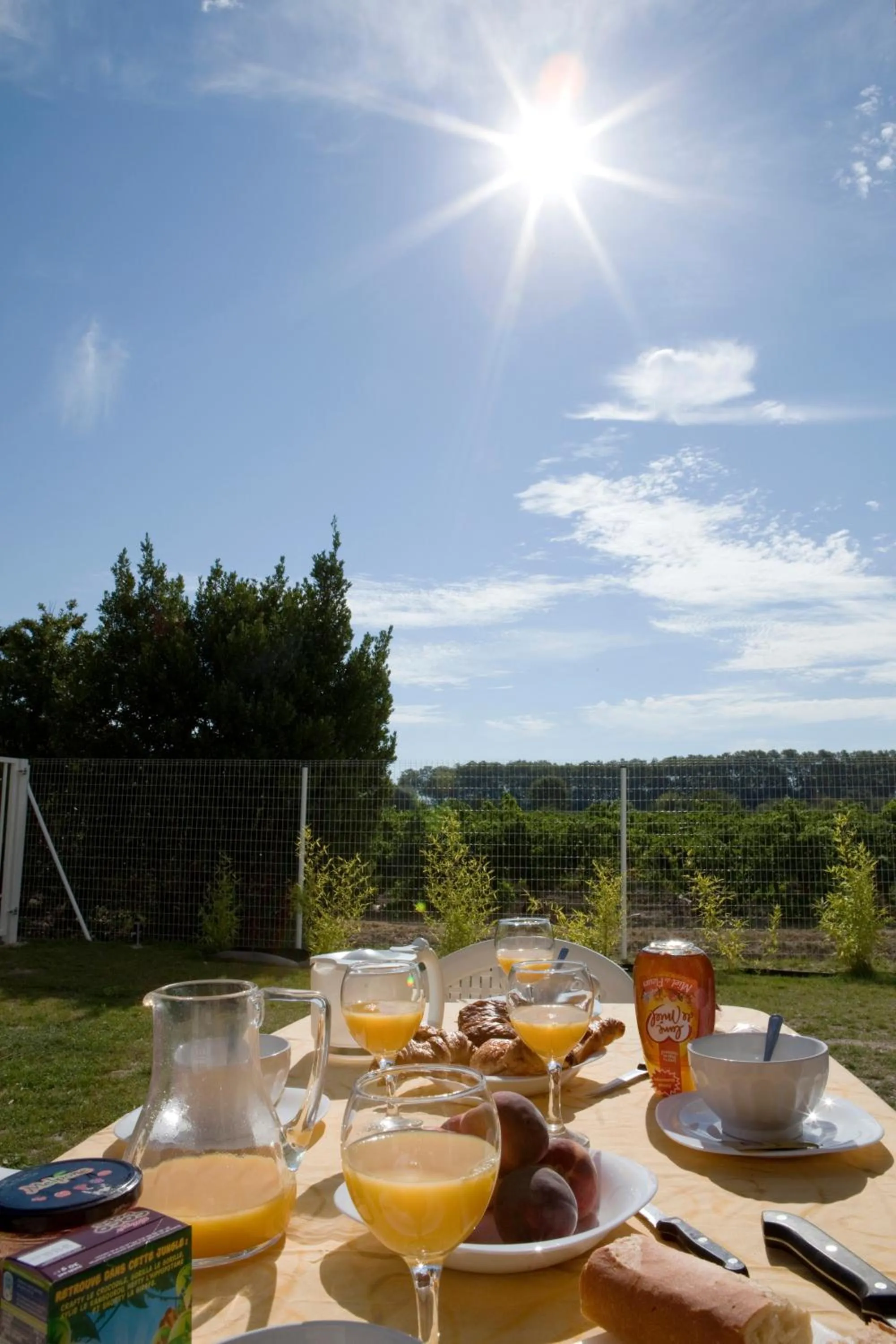 Restaurant/places to eat in Vacancéole - Le Domaine d'Enserune