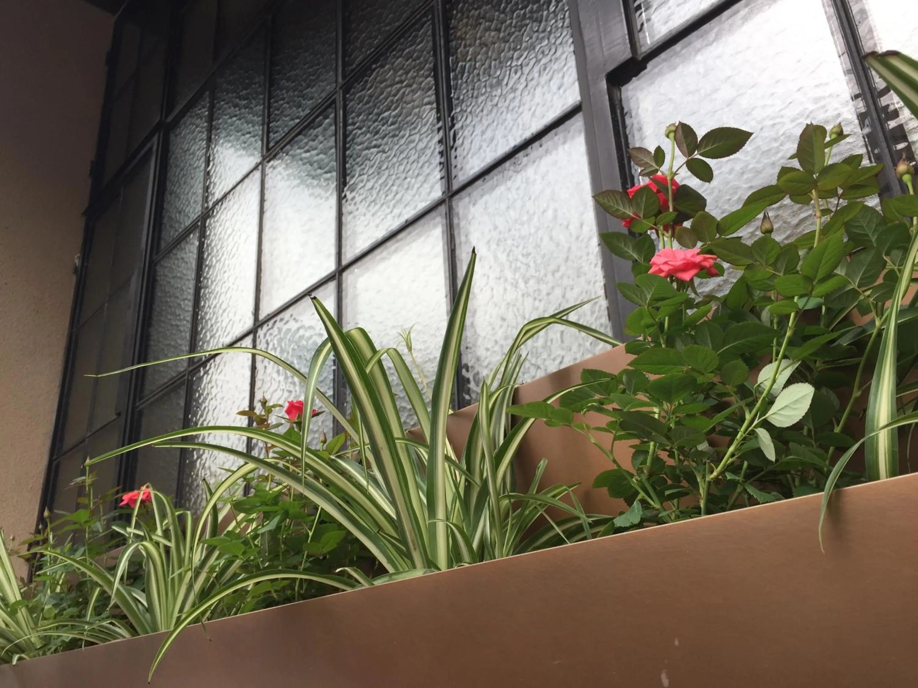 Jinjiang Metropolo Hotel Classic Nanjing Road (East) Shanghai