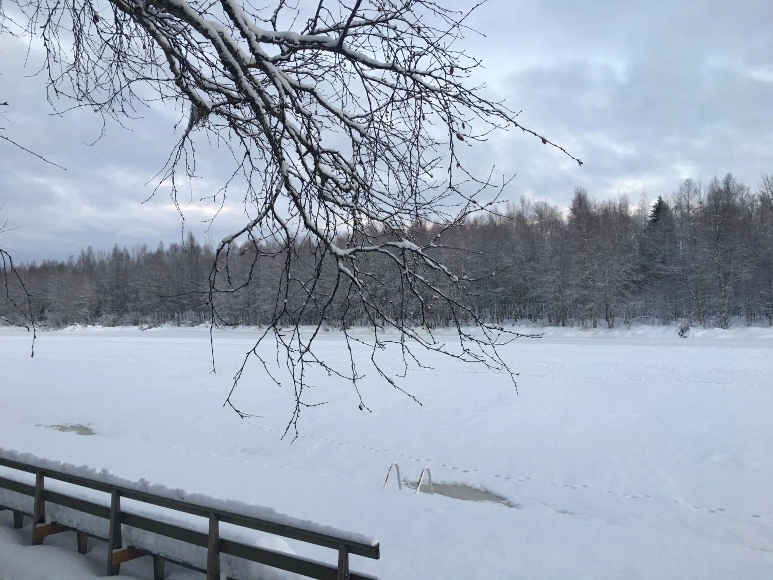 Arctic Resort Delight