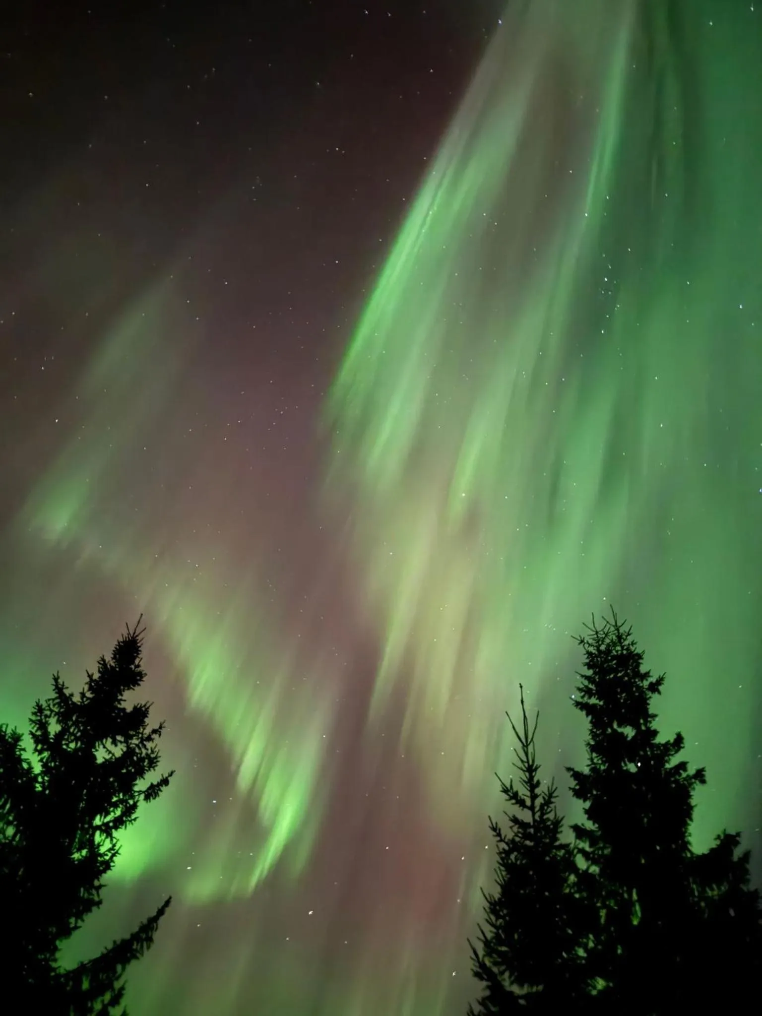 Arctic Resort Delight