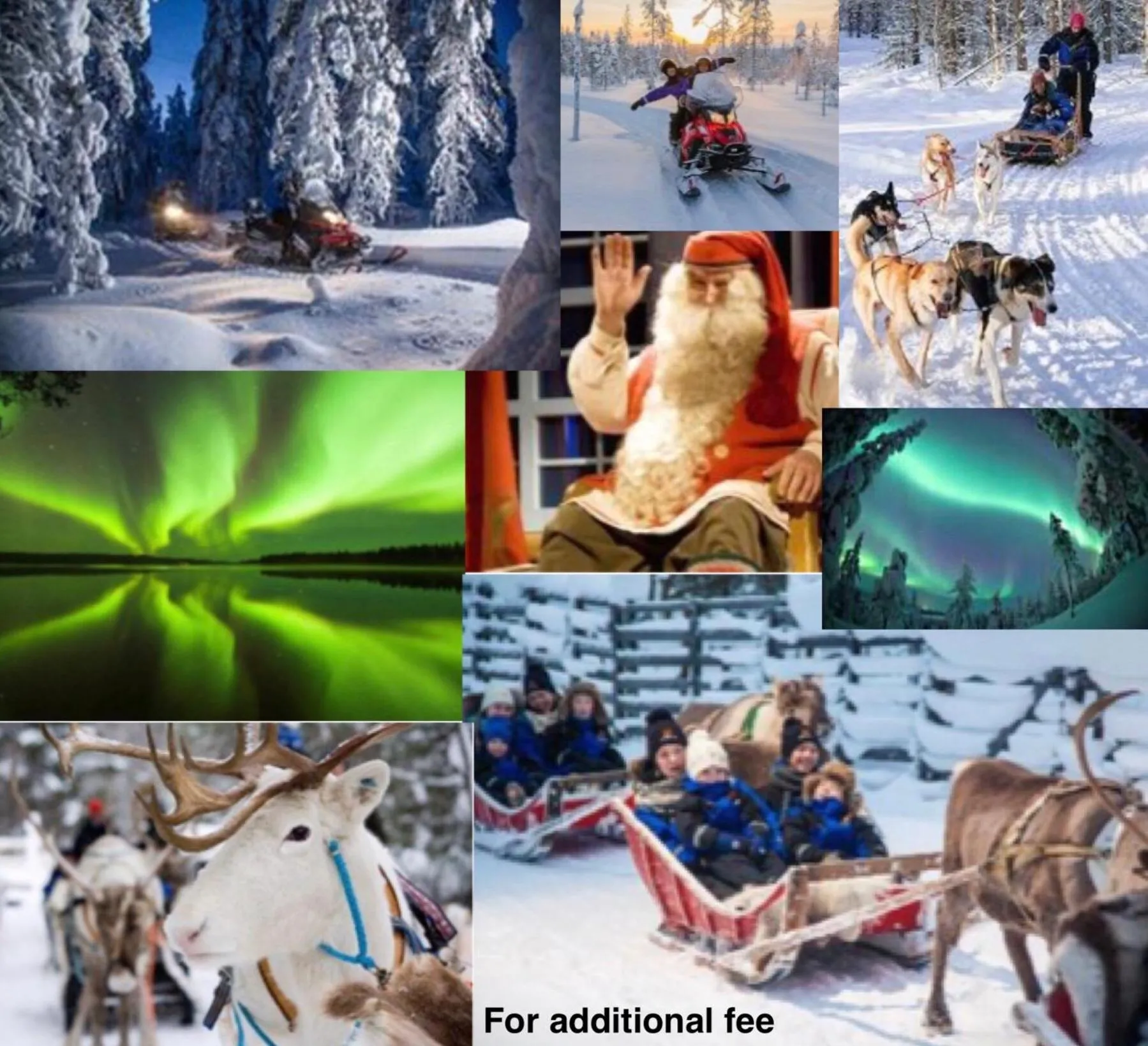 Activities in Arctic Resort Delight