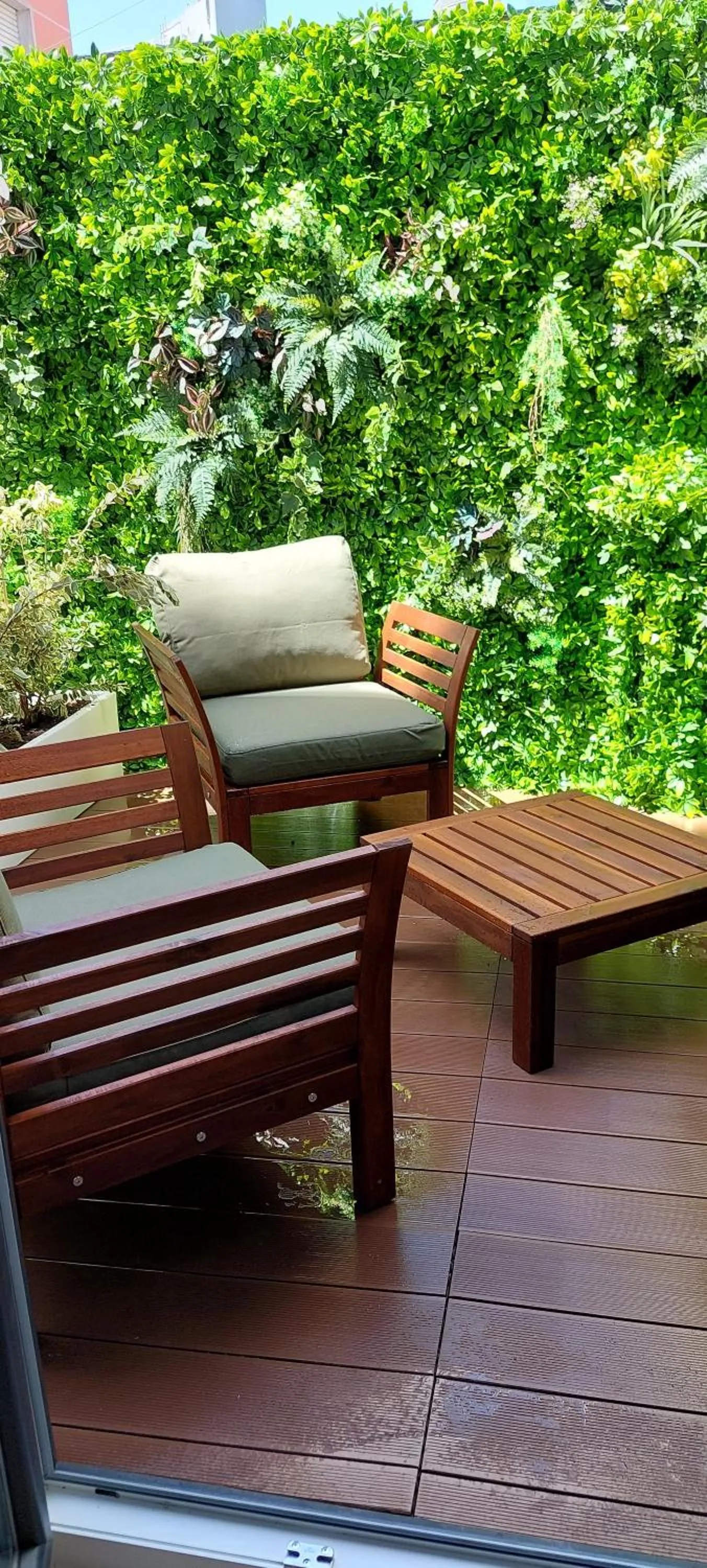 Garden in Hotel Amadora Palace