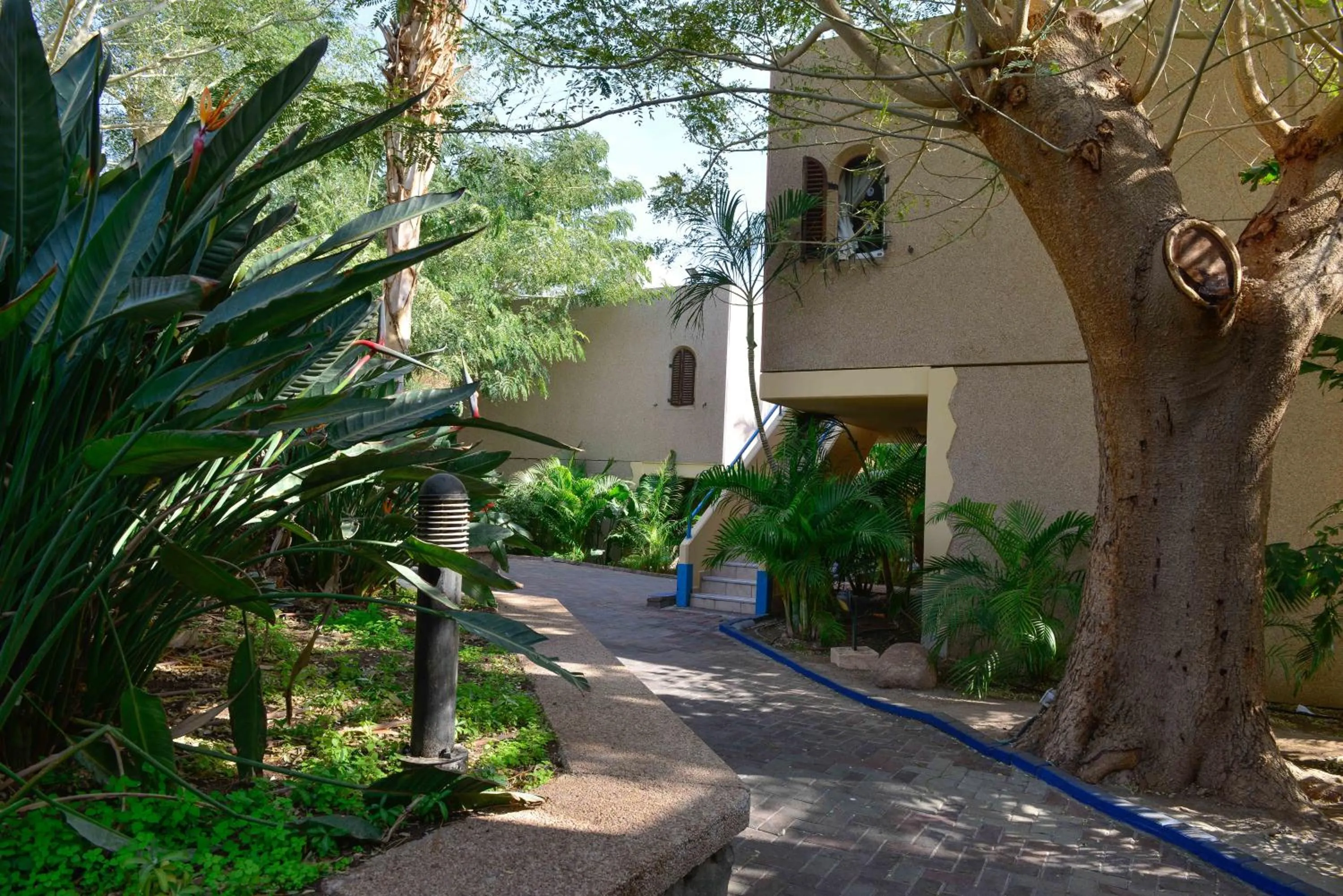 On site in Club In Eilat - Coral Beach Villa Resort