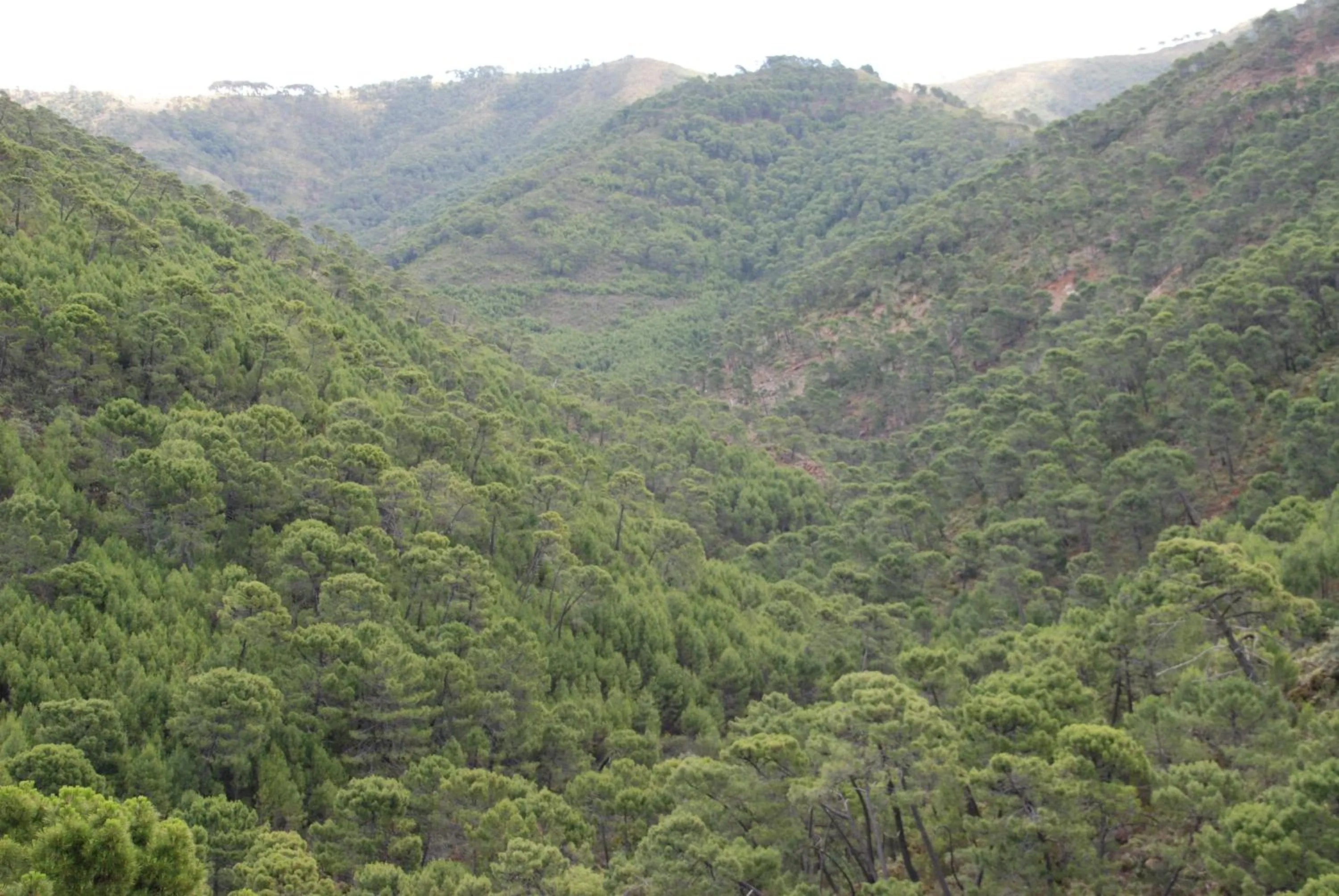 Mountain view in La Posada del Recovero