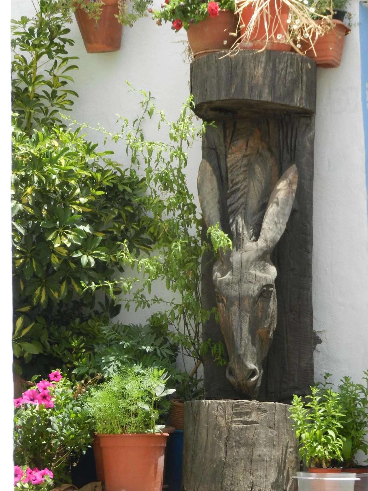 Other in La Posada del Recovero