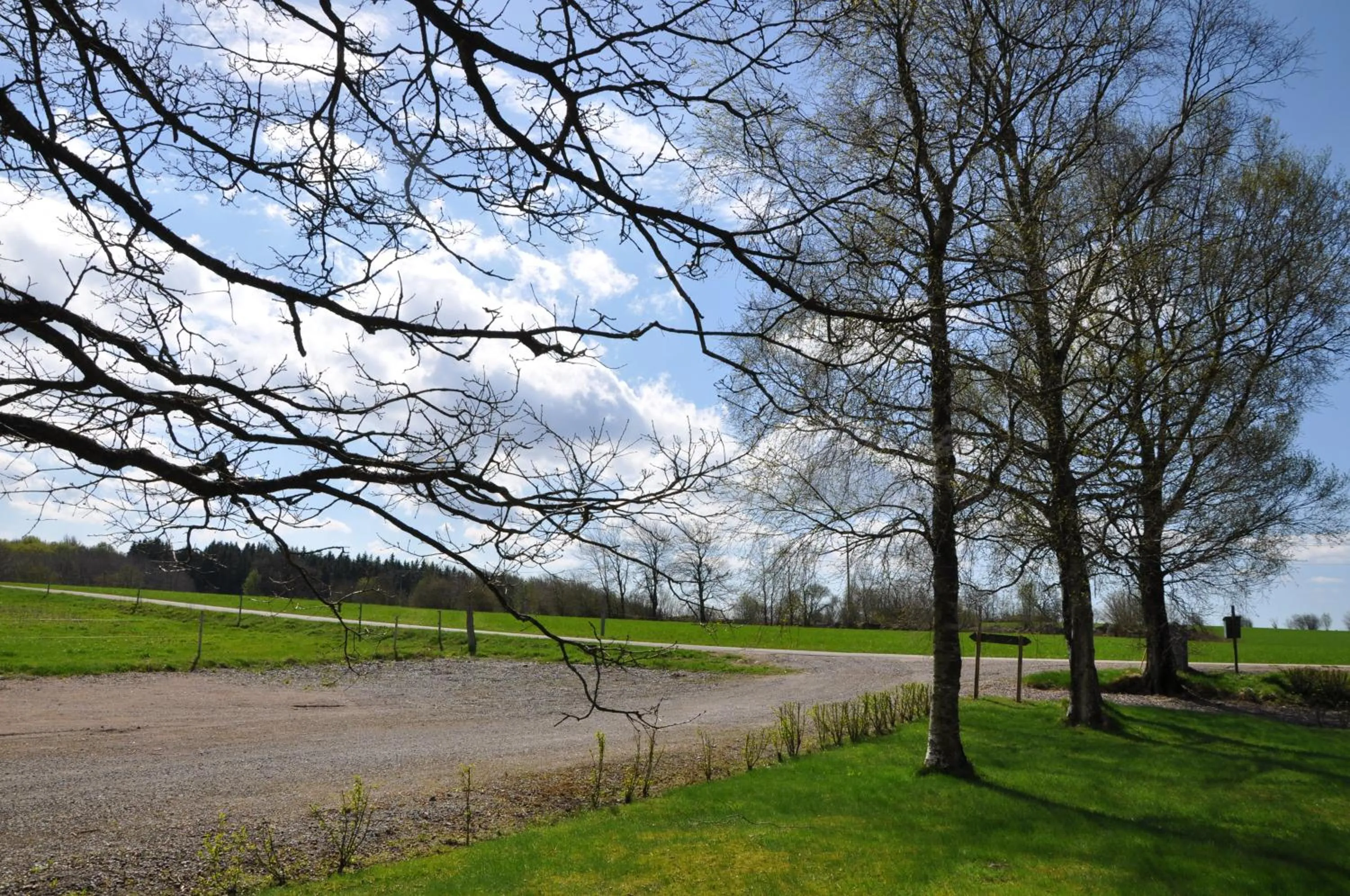 Natural landscape in Hotel Bella Luna