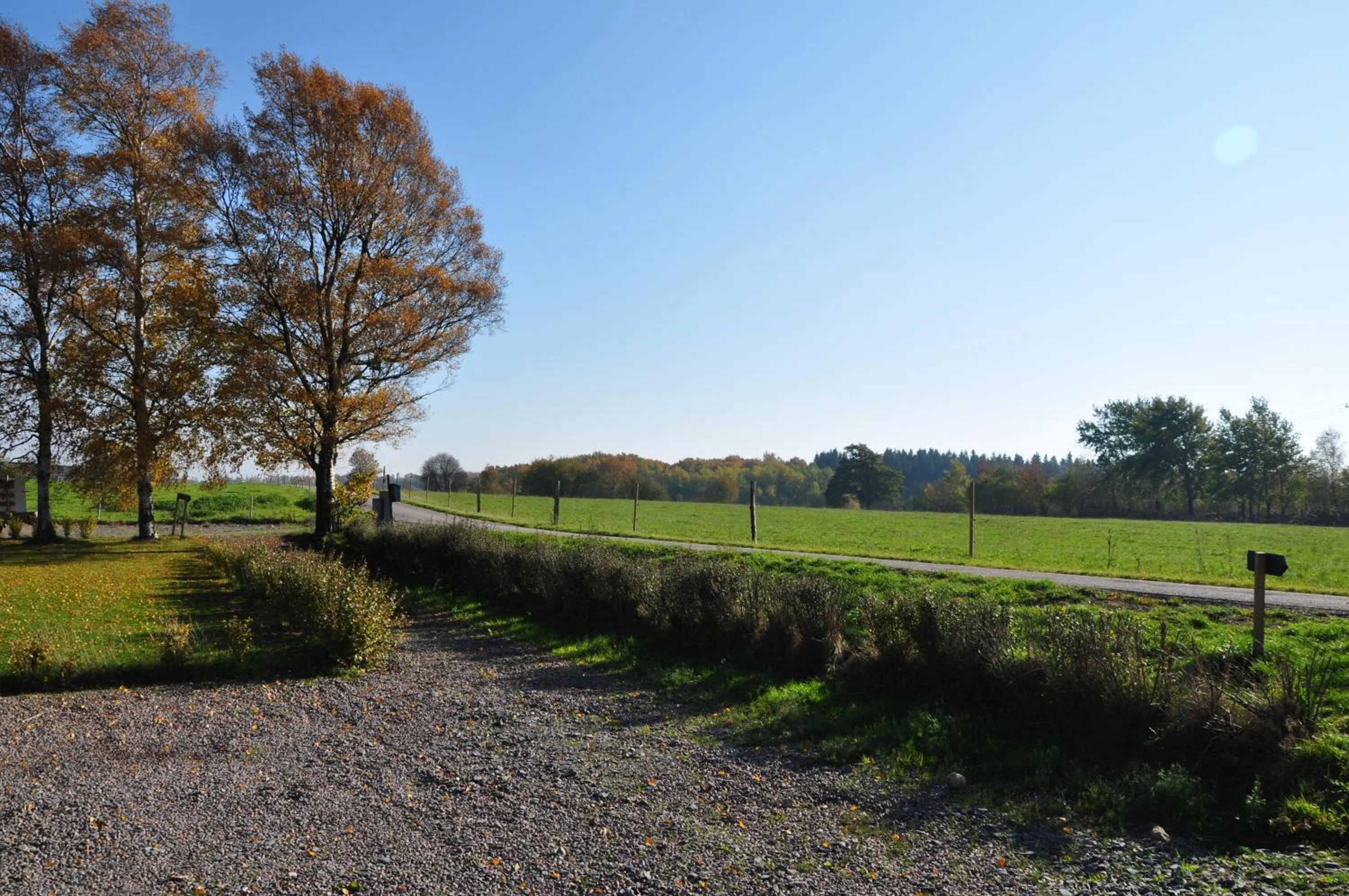 Garden view in Hotel Bella Luna