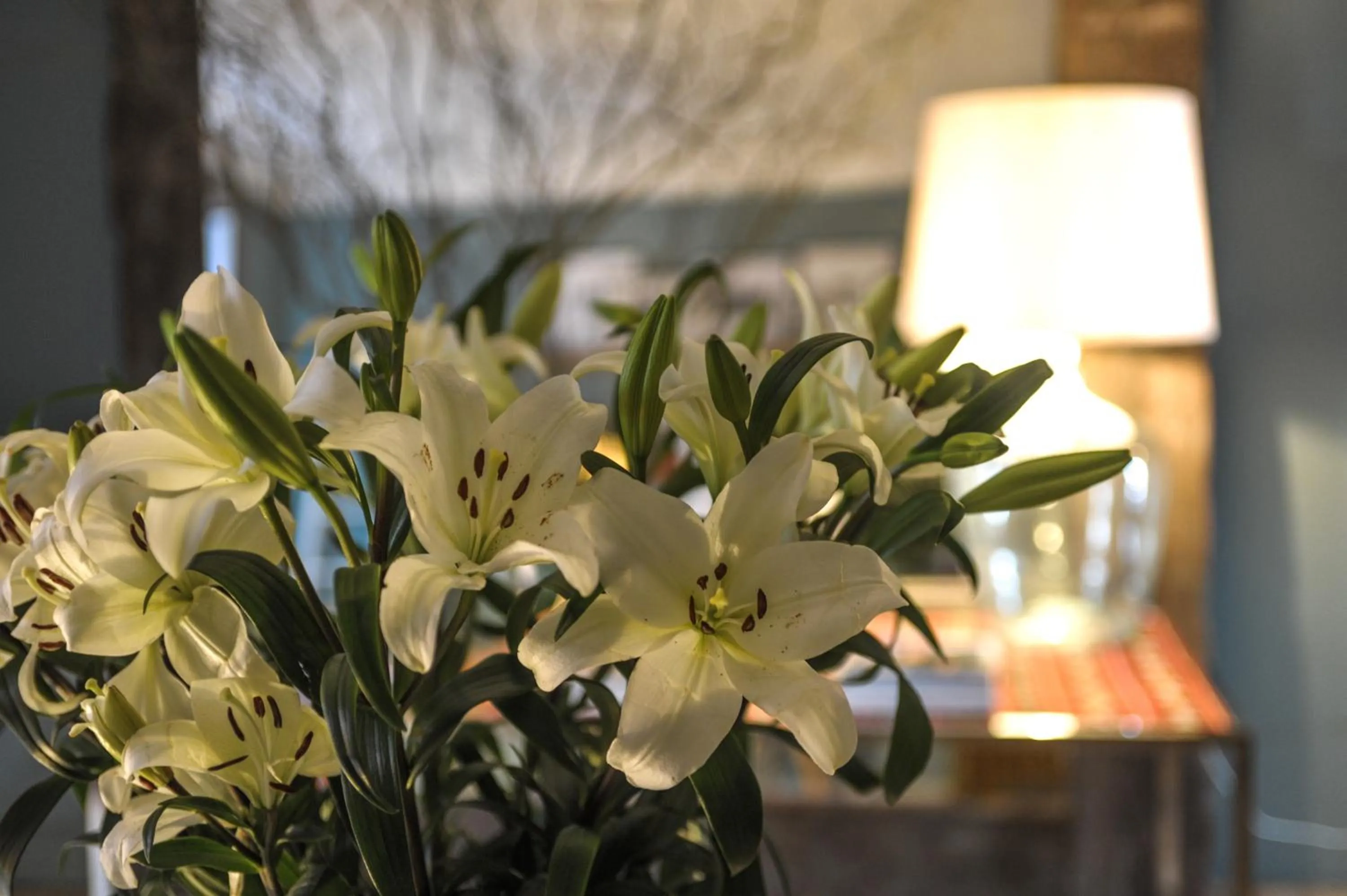 Lobby or reception in Mo House