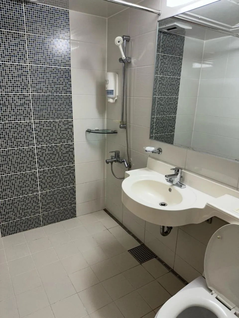 Toilet in Beache Palace