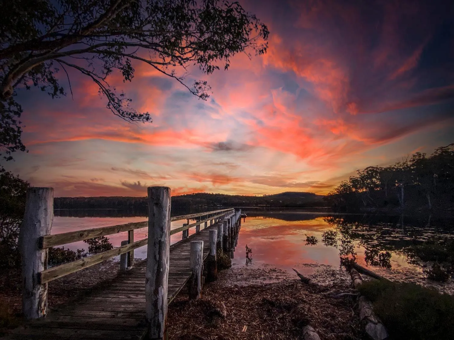 Natural landscape in Robyn's Nest Lakeside Resort