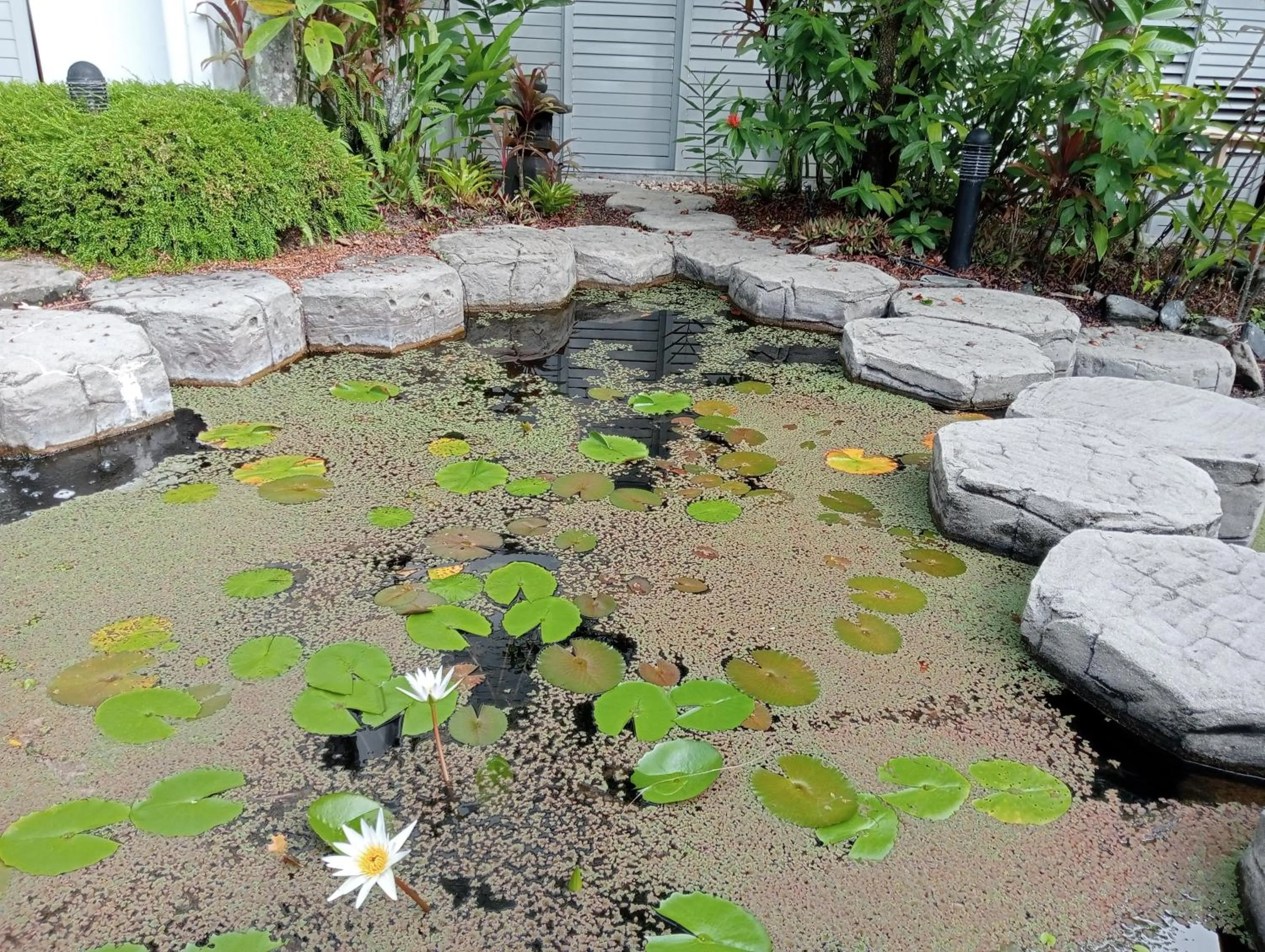 Garden view in Club Tropical Resort - Official Onsite Reception & Check In