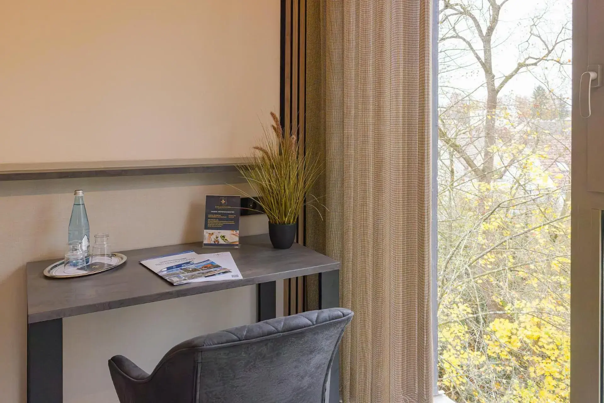 Superior Double Room in Hotel Schloss Lehen Superior Double Room in Hotel Schloss Lehen