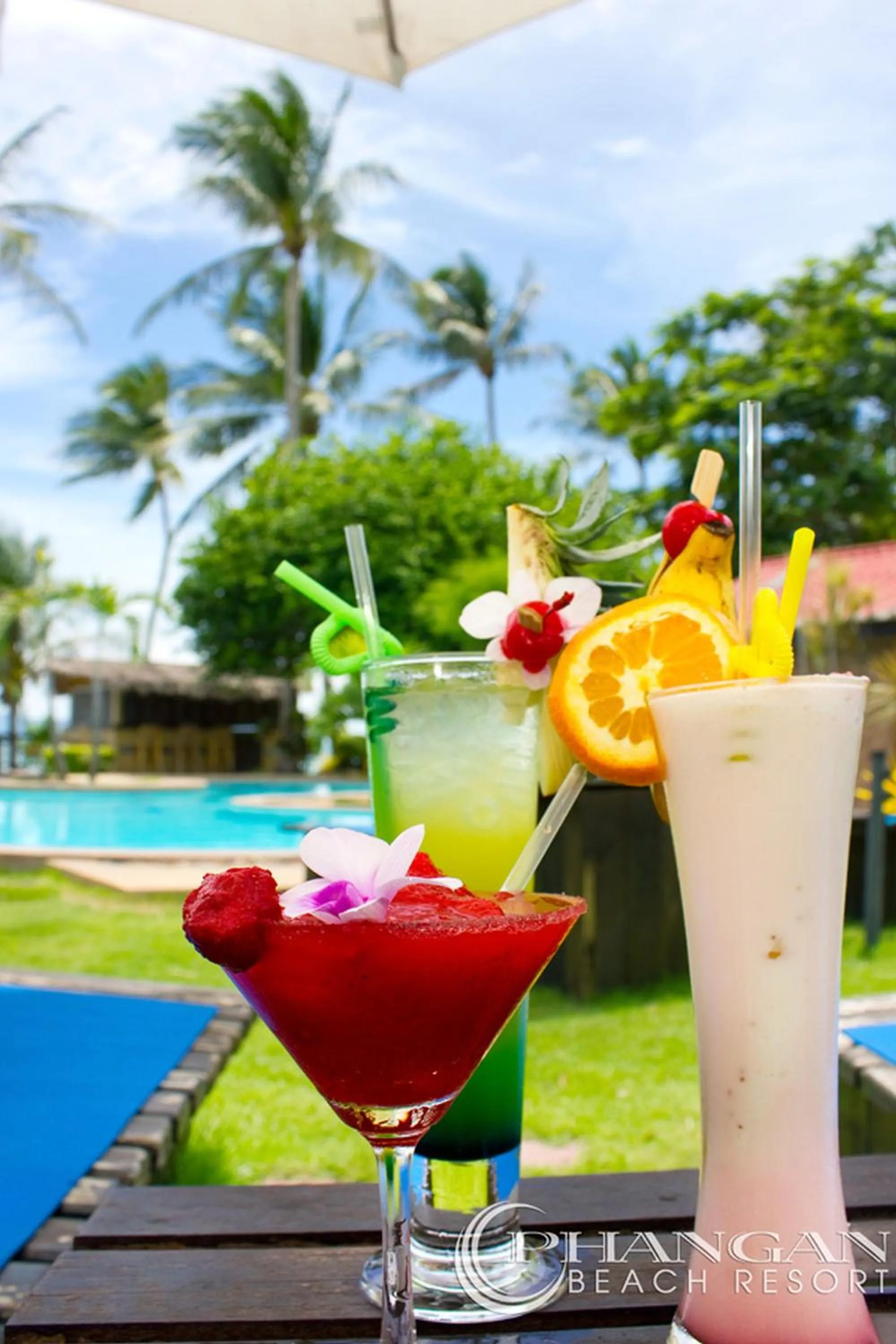 Lounge or bar in Phangan Beach Resort
