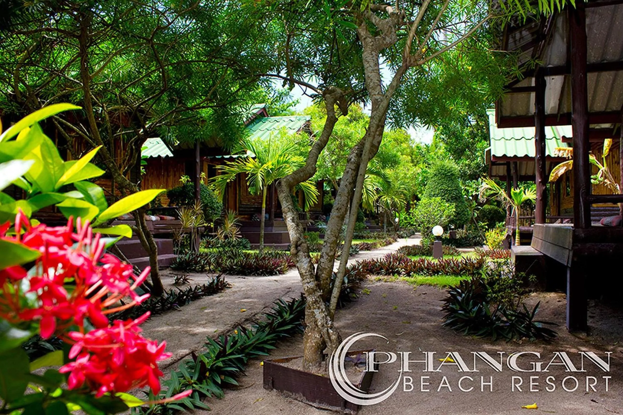 Garden in Phangan Beach Resort