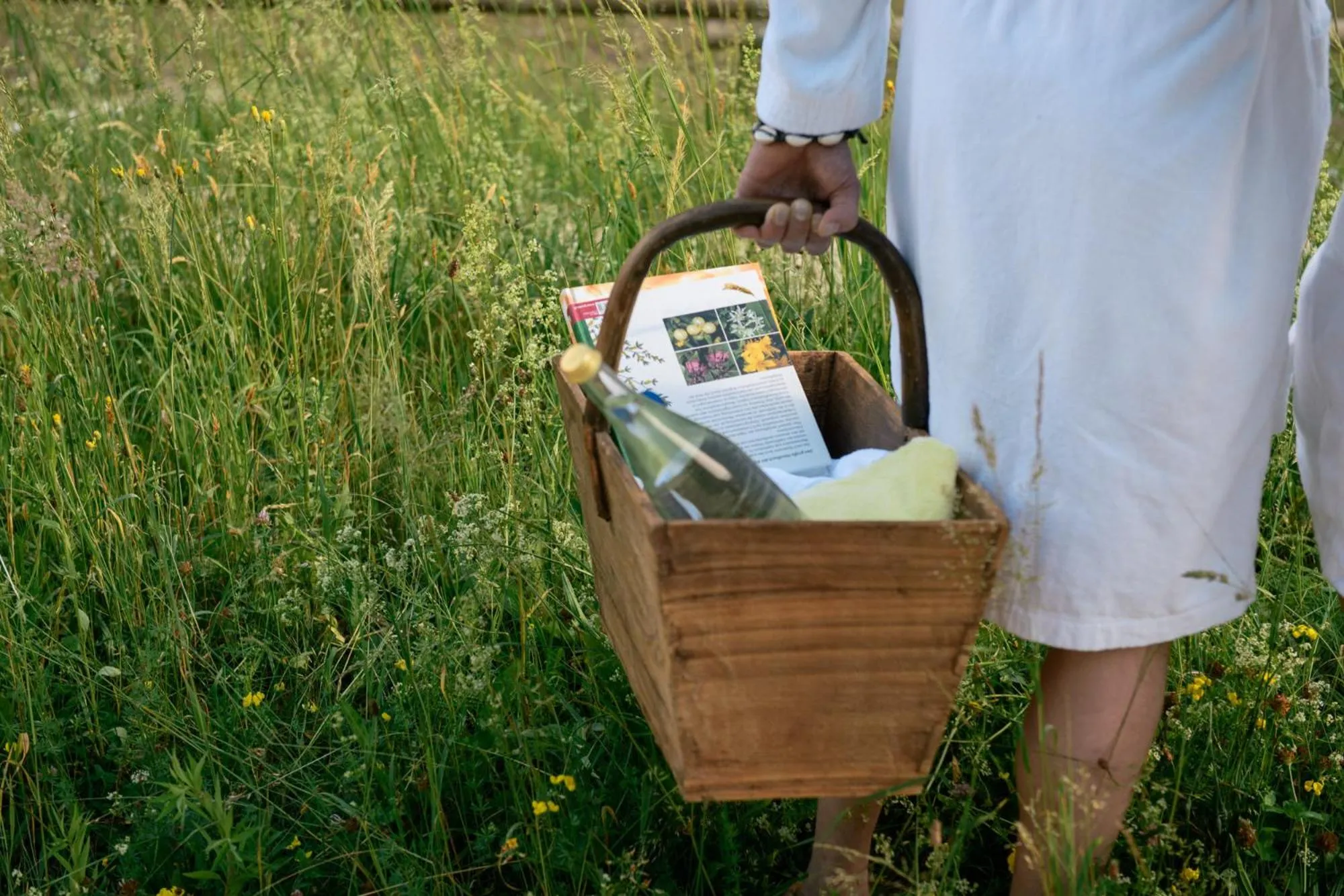 Day in Hotel-Gasthof Mauthäusl