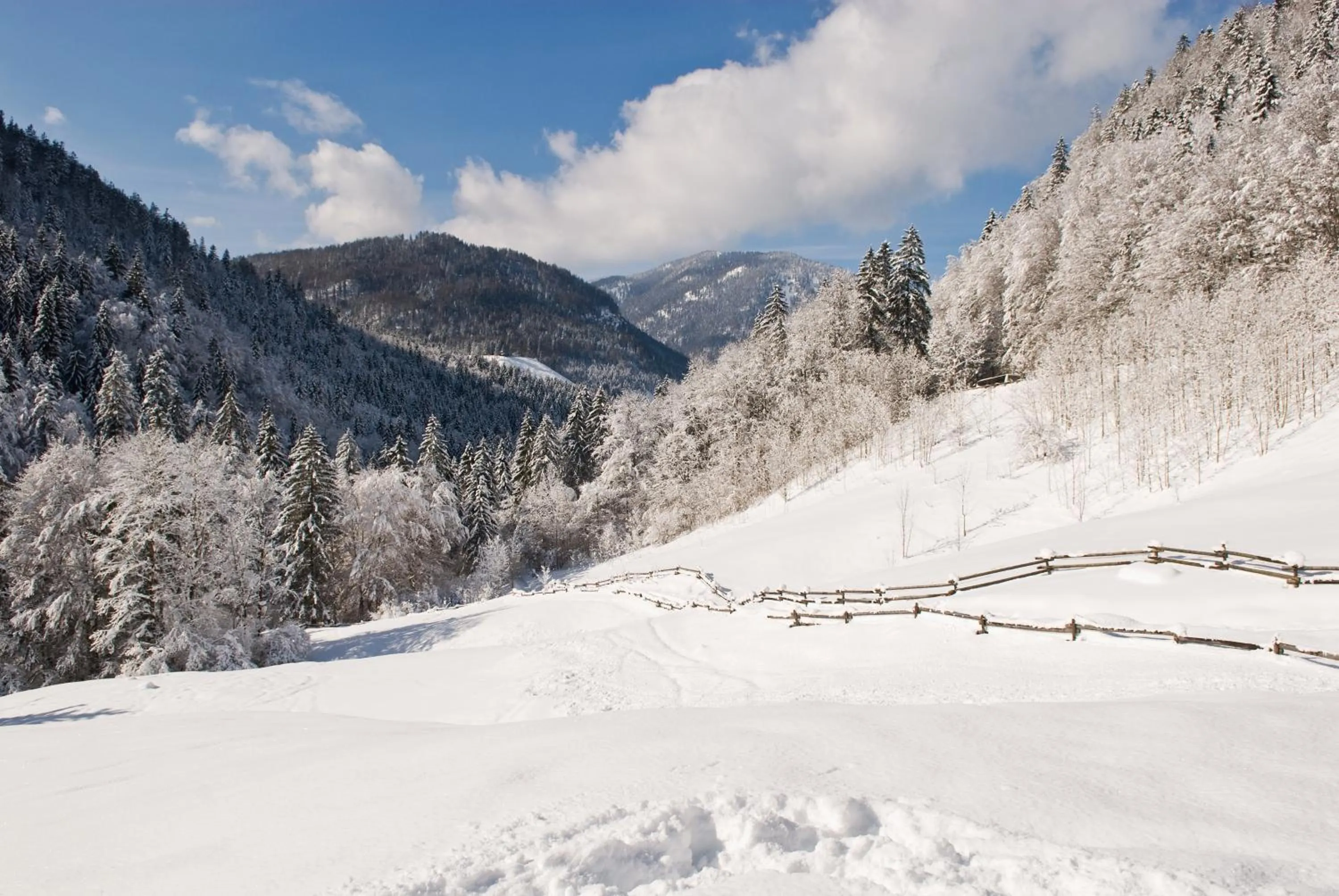 Natural landscape in Hotel-Gasthof Mauthäusl