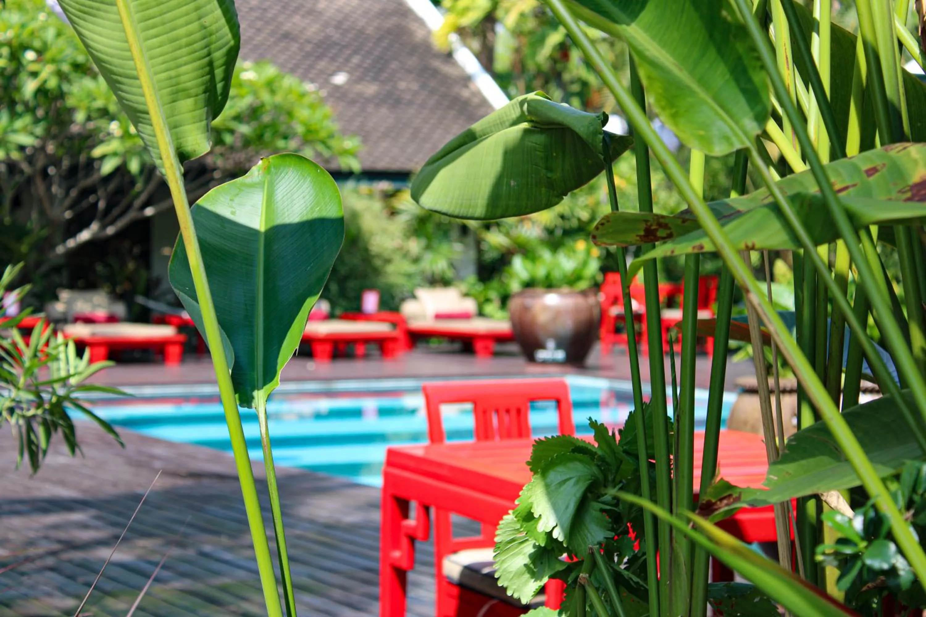 Pool view in Villa Maly Boutique Hotel