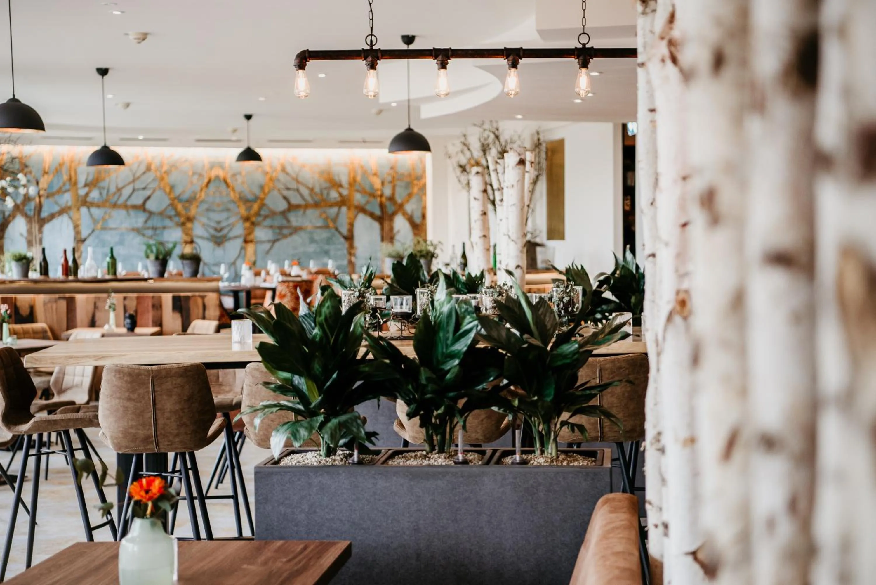 Restaurant/places to eat in Parkhotel Landau