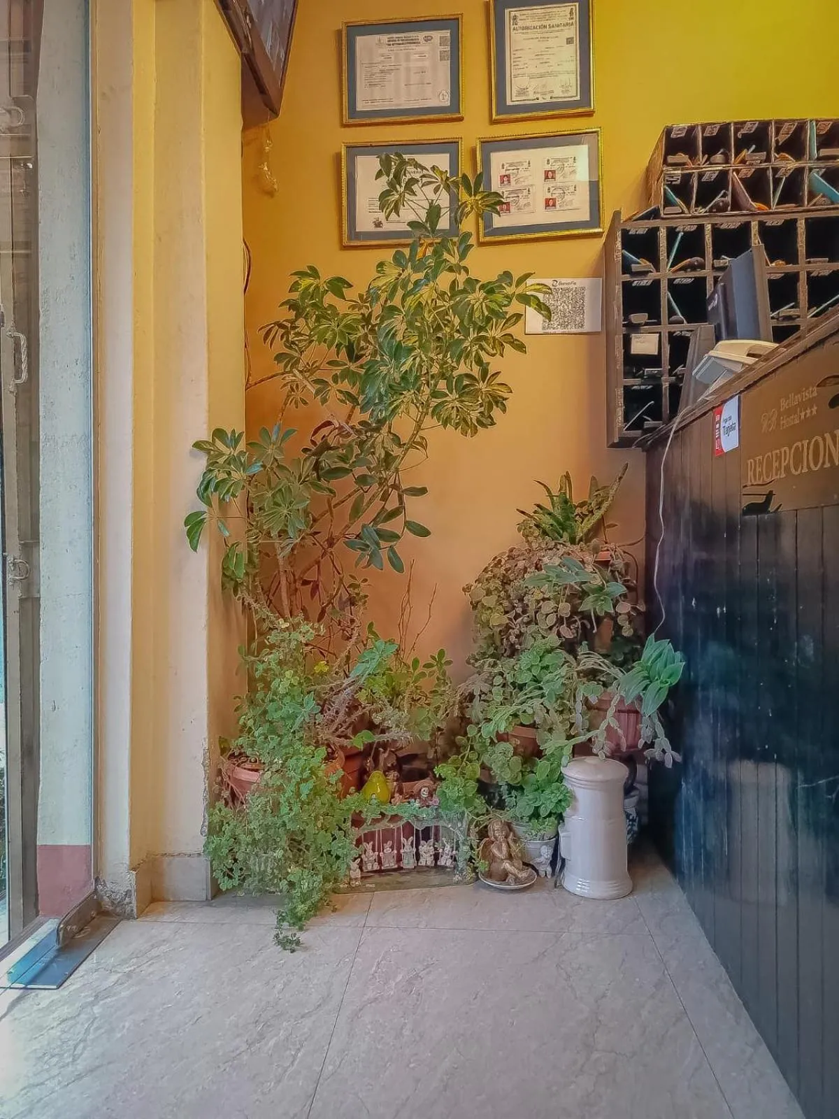 Hostal Terrabella SRL