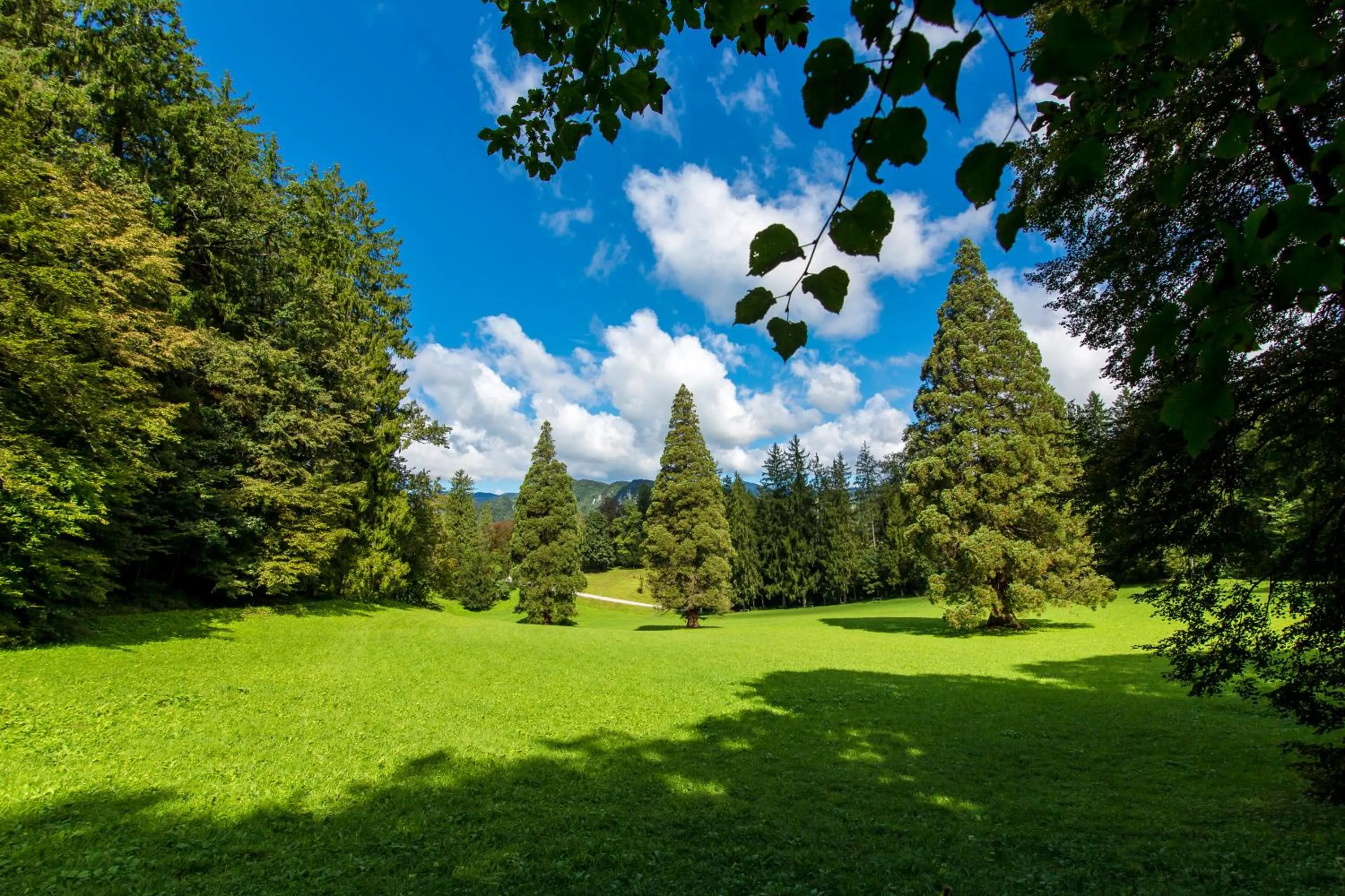 Garden in Rimske Terme Resort - Hotel Zdraviliški dvor