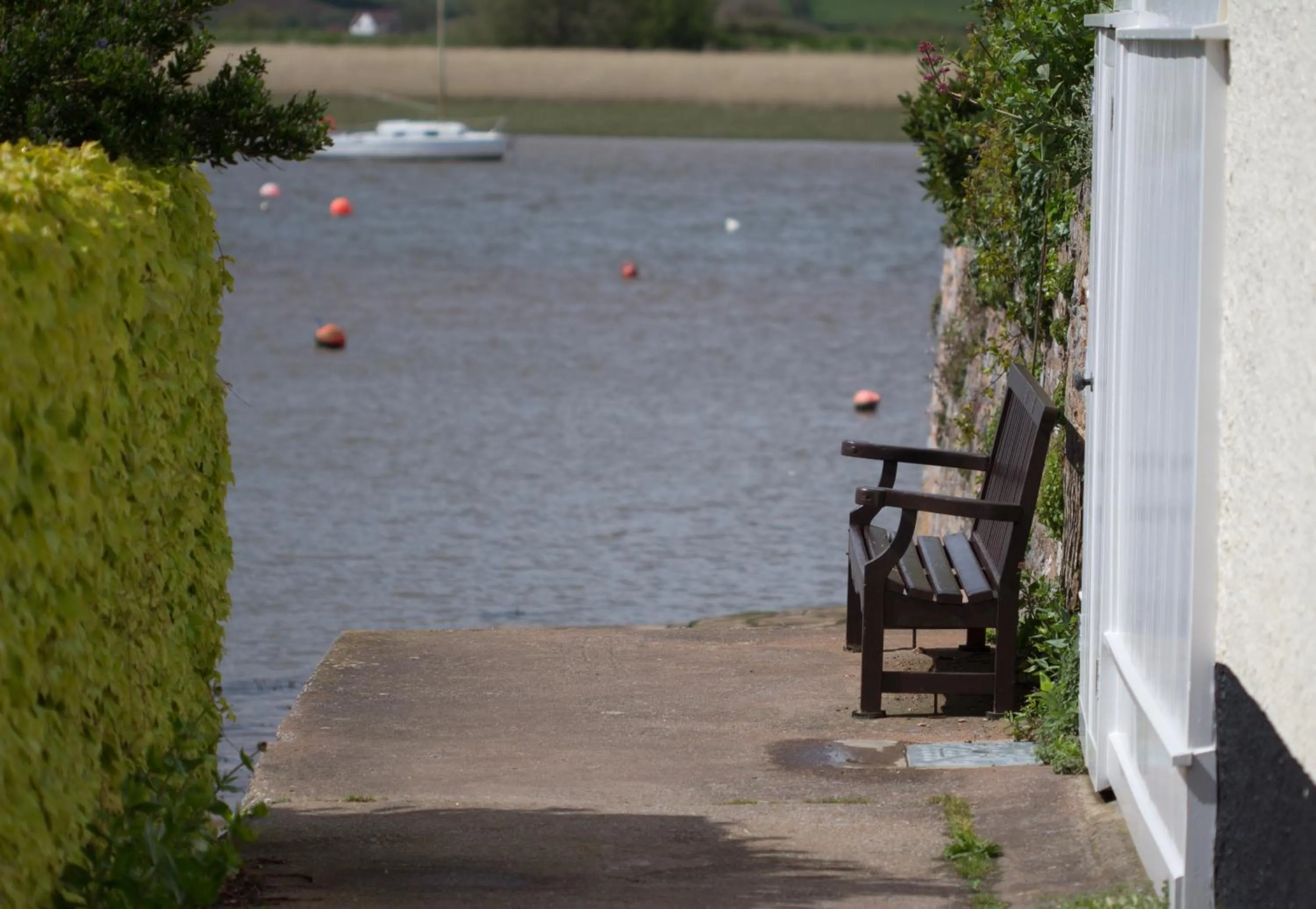 Area and facilities in The Globe