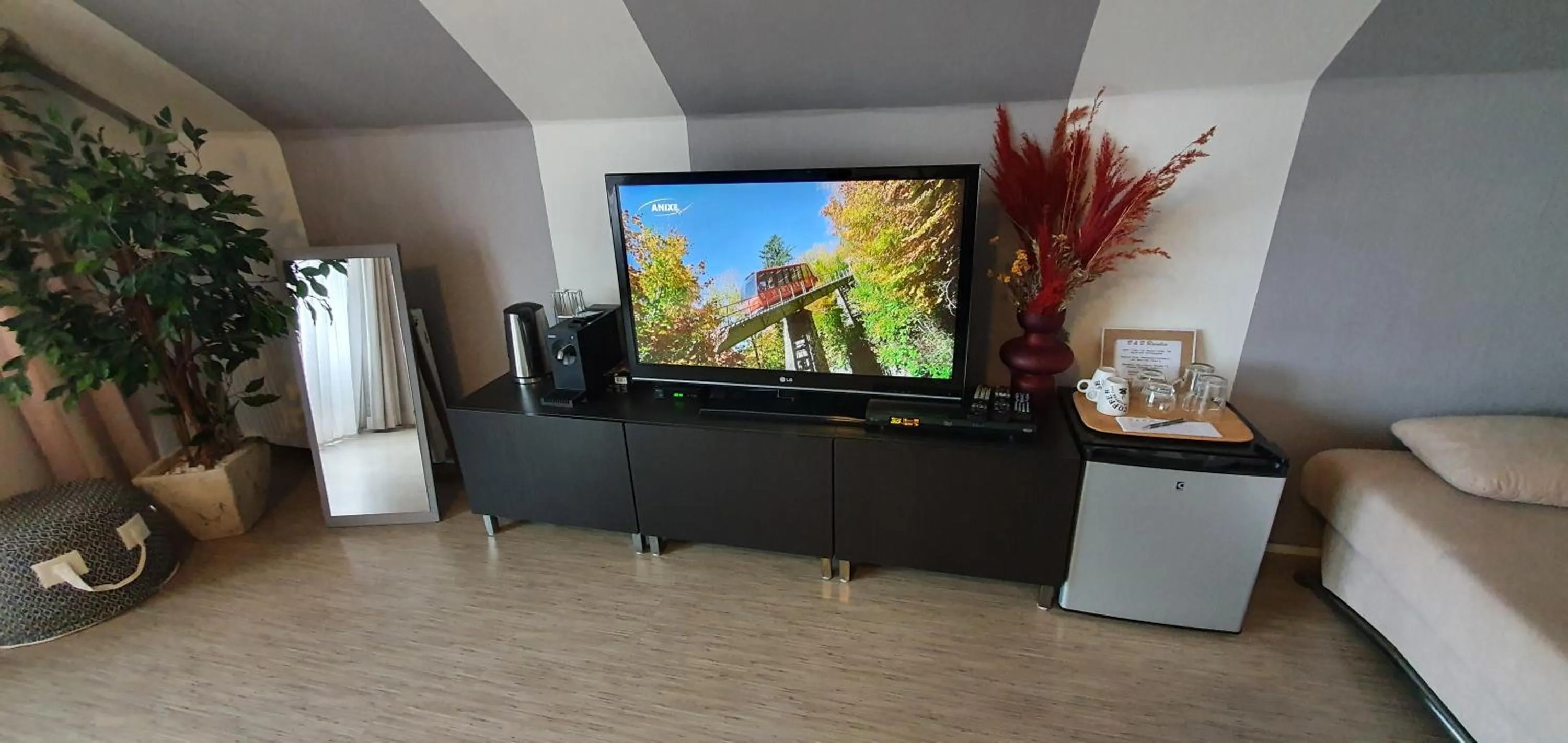 TV and multimedia in Bed & Breakfast Ravelin