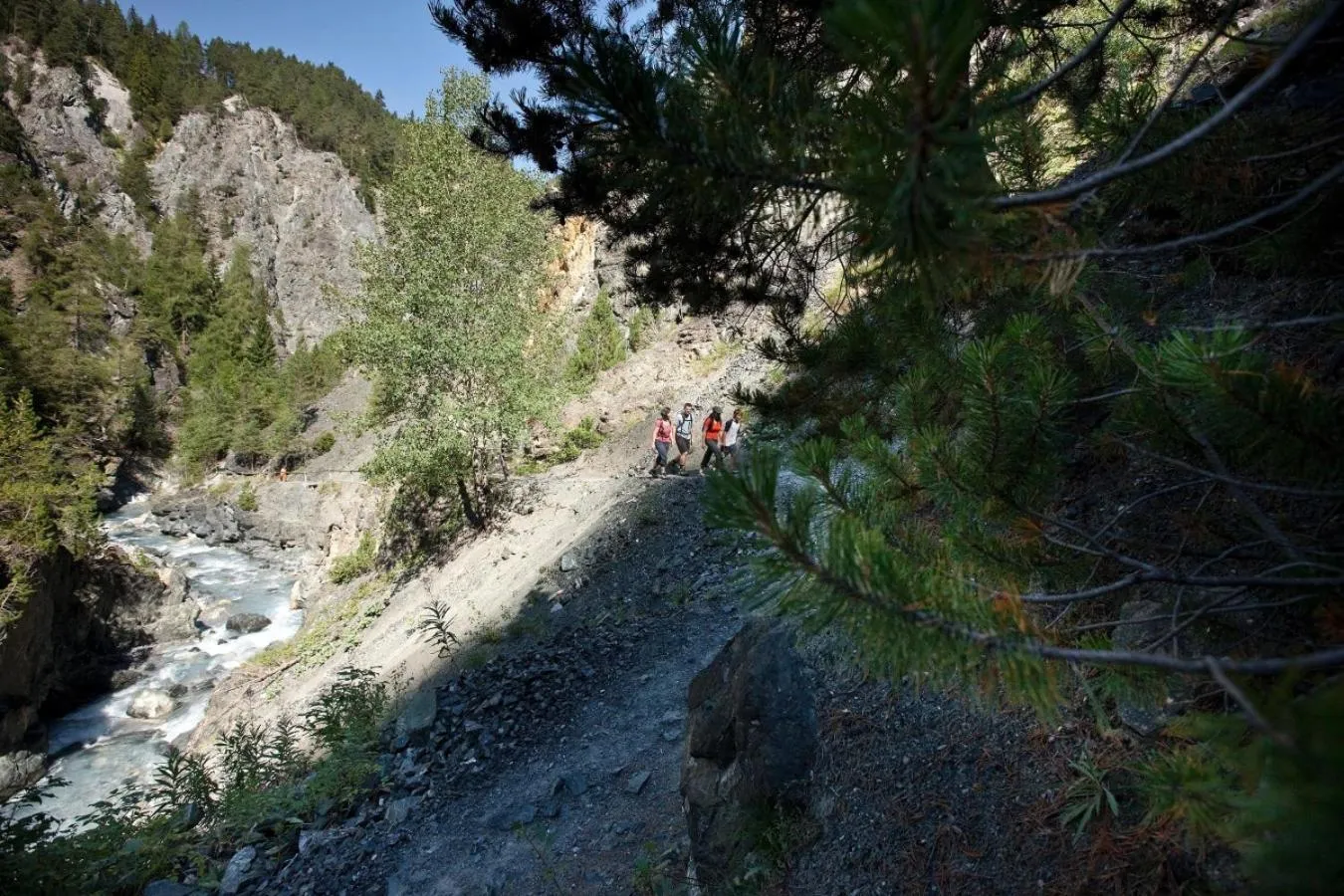 Hiking in Hotel Garni Panorama