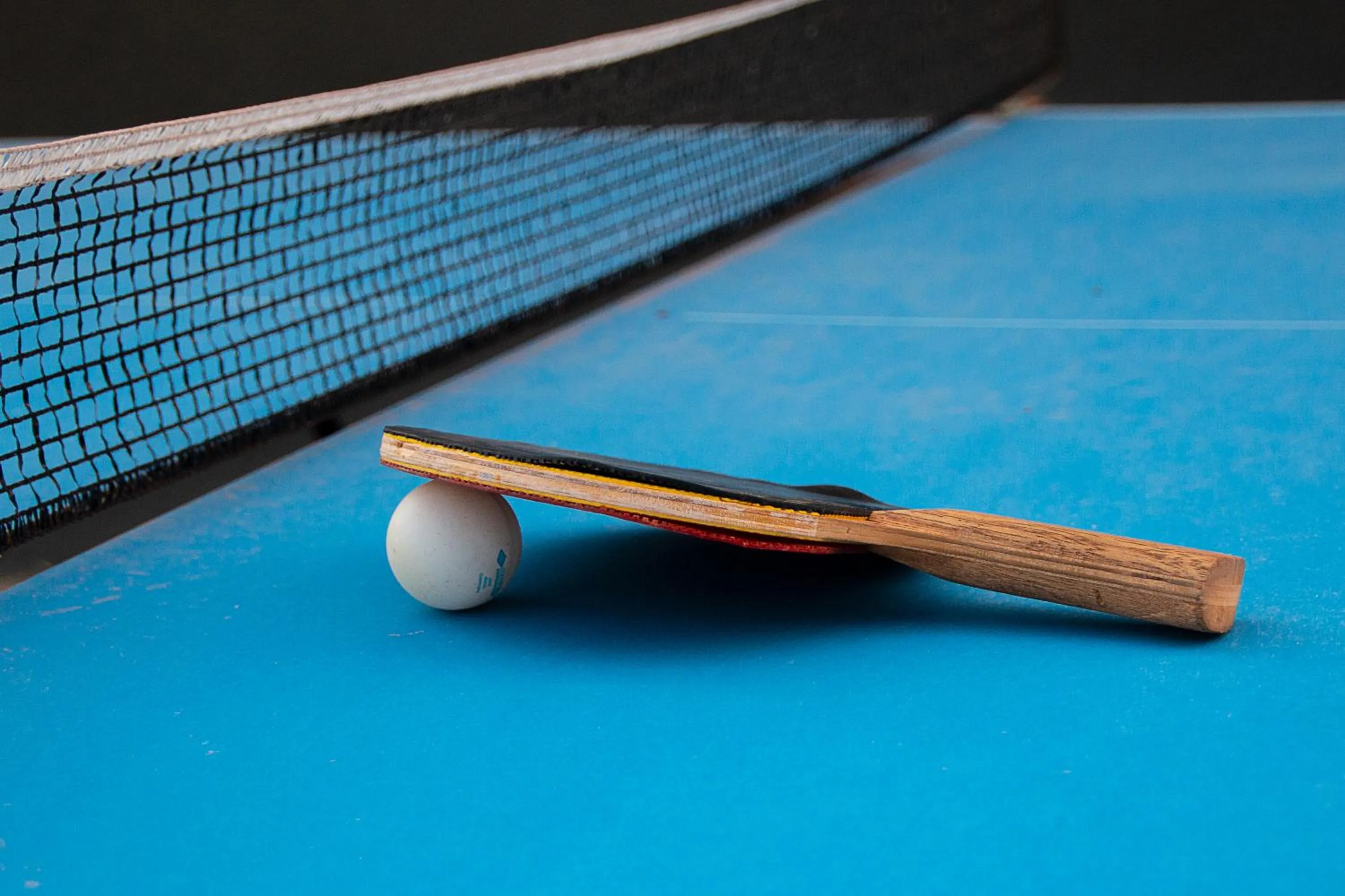 Activities in Hotel Khail