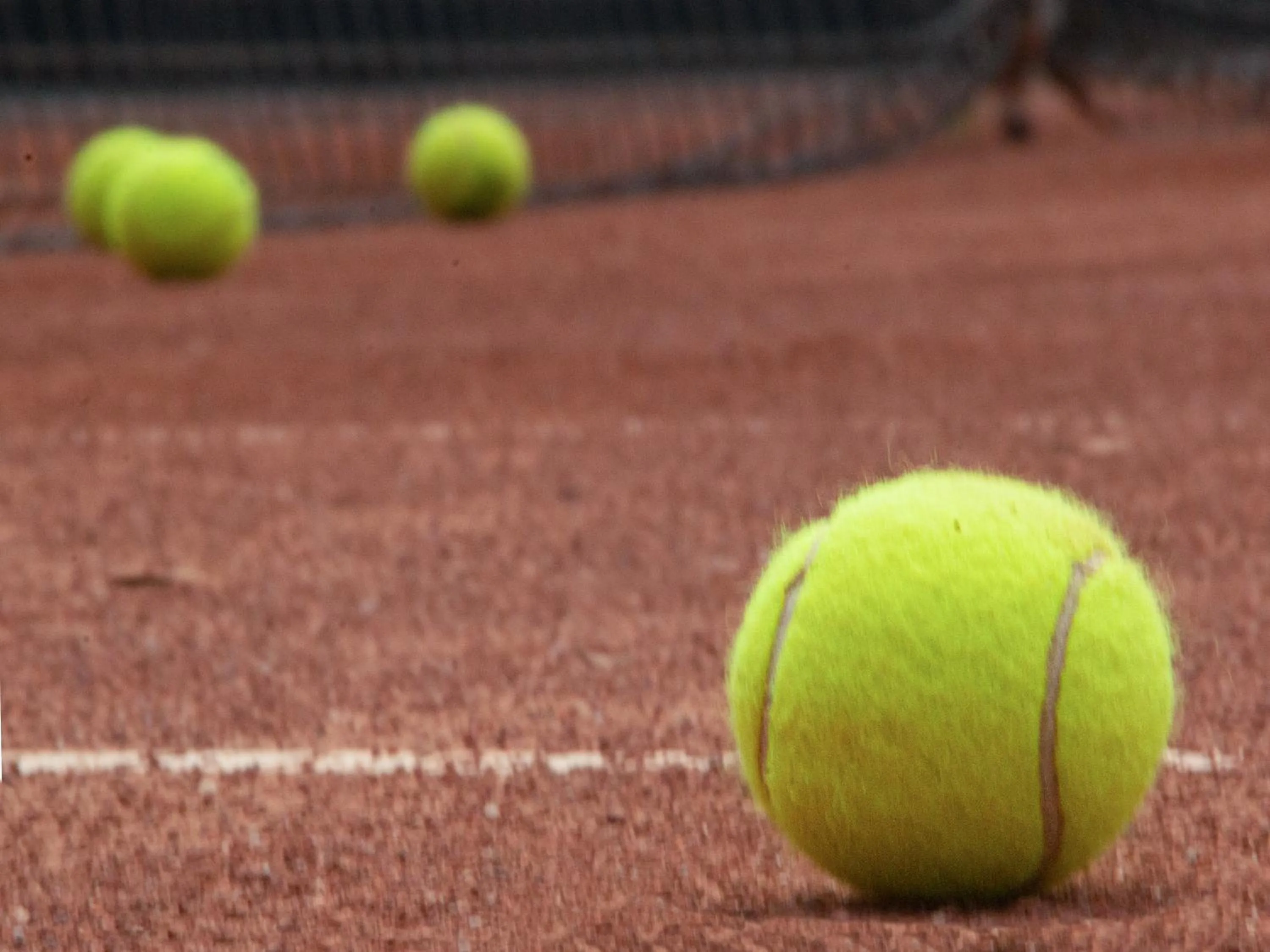 Activities in Hotel Khail